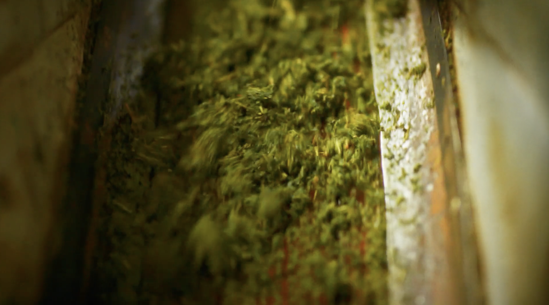 Screenshot 2026-01-08 at 20.43.44.png