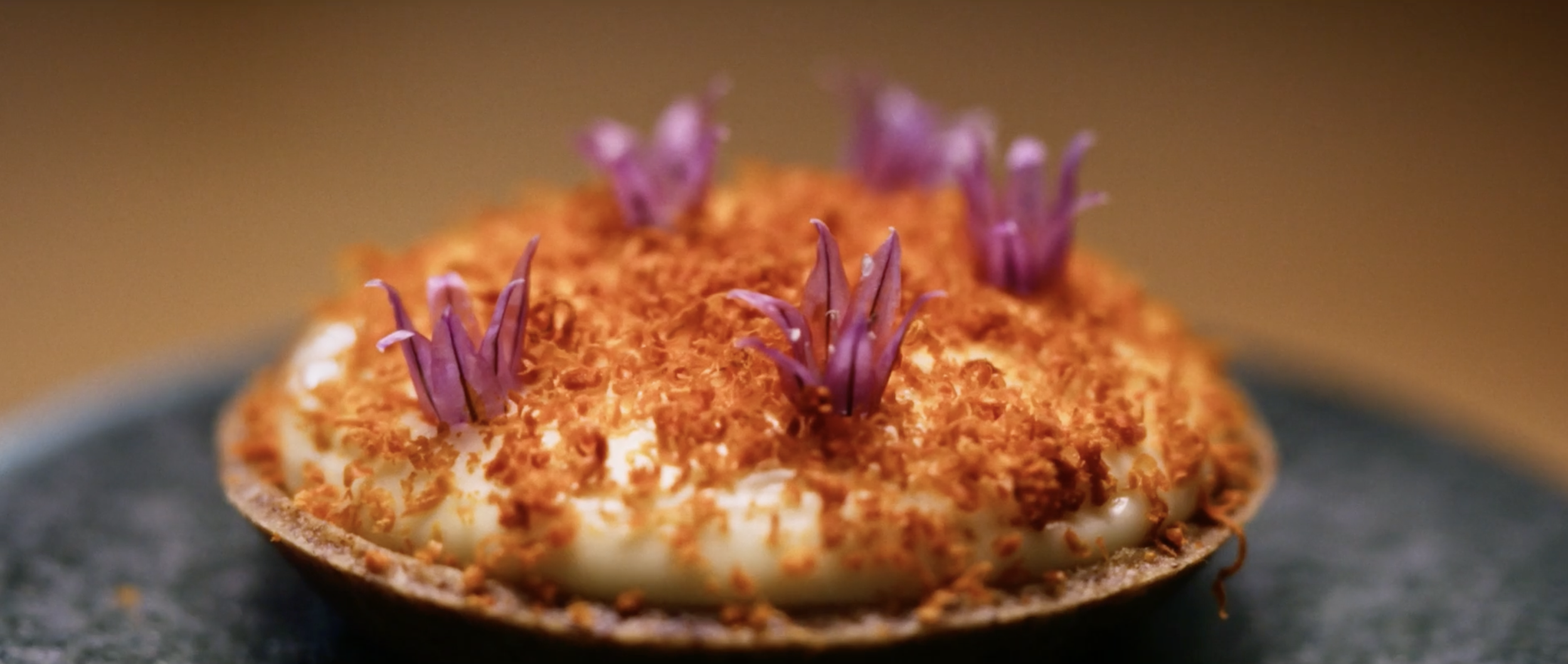 Homegrown Frames54.png