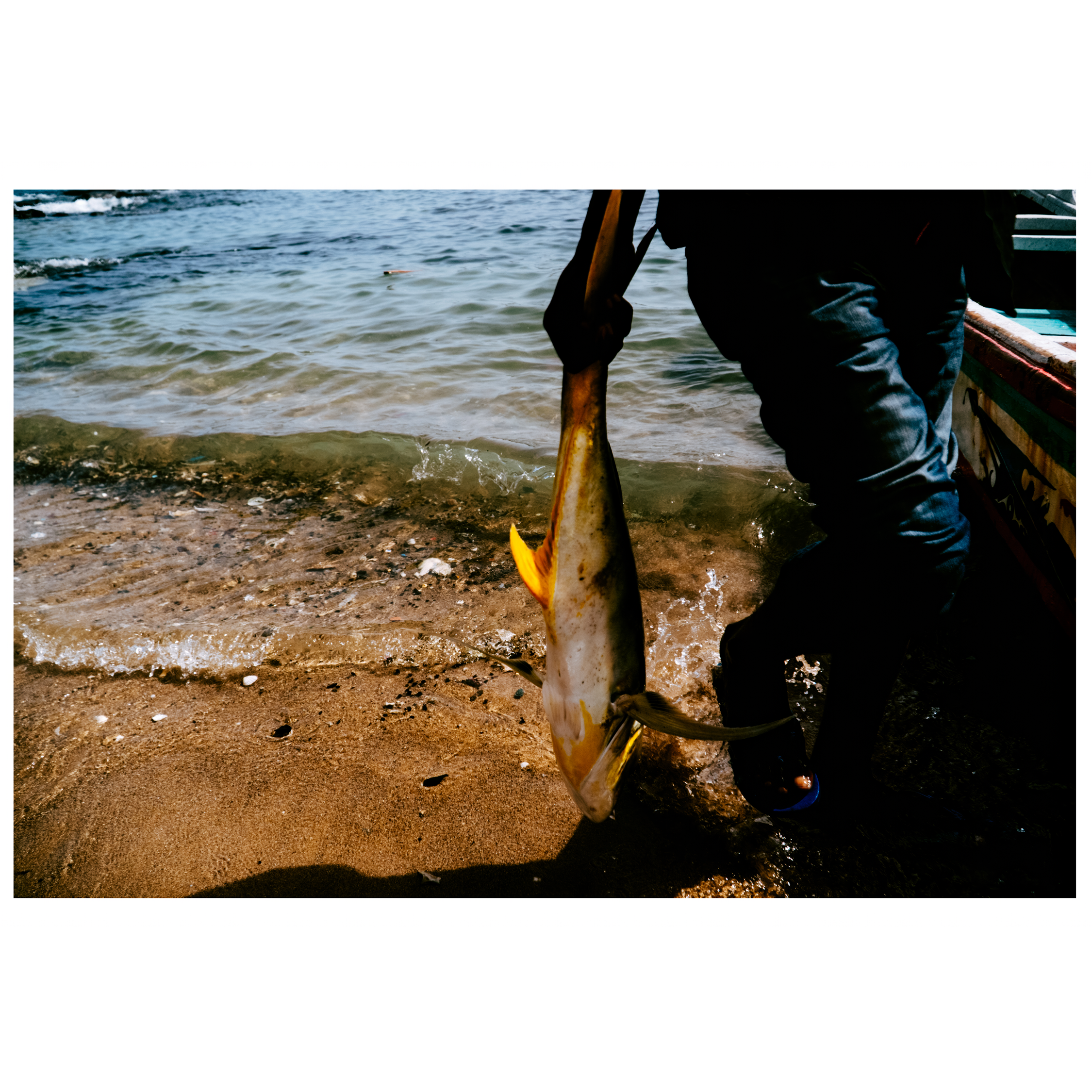 Fishing-Print-1x1Thumb-IbraWane-Landing.png