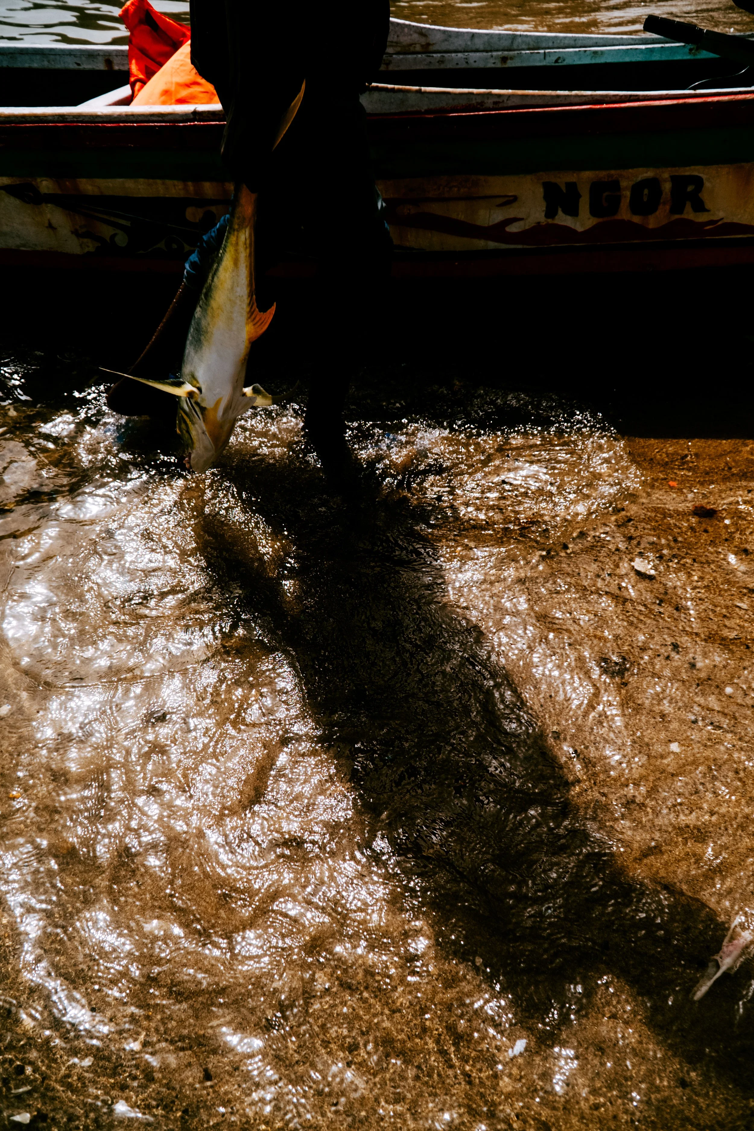Fishing-Dakar-Ngor-240524-IbraWane-DSC03865.jpg