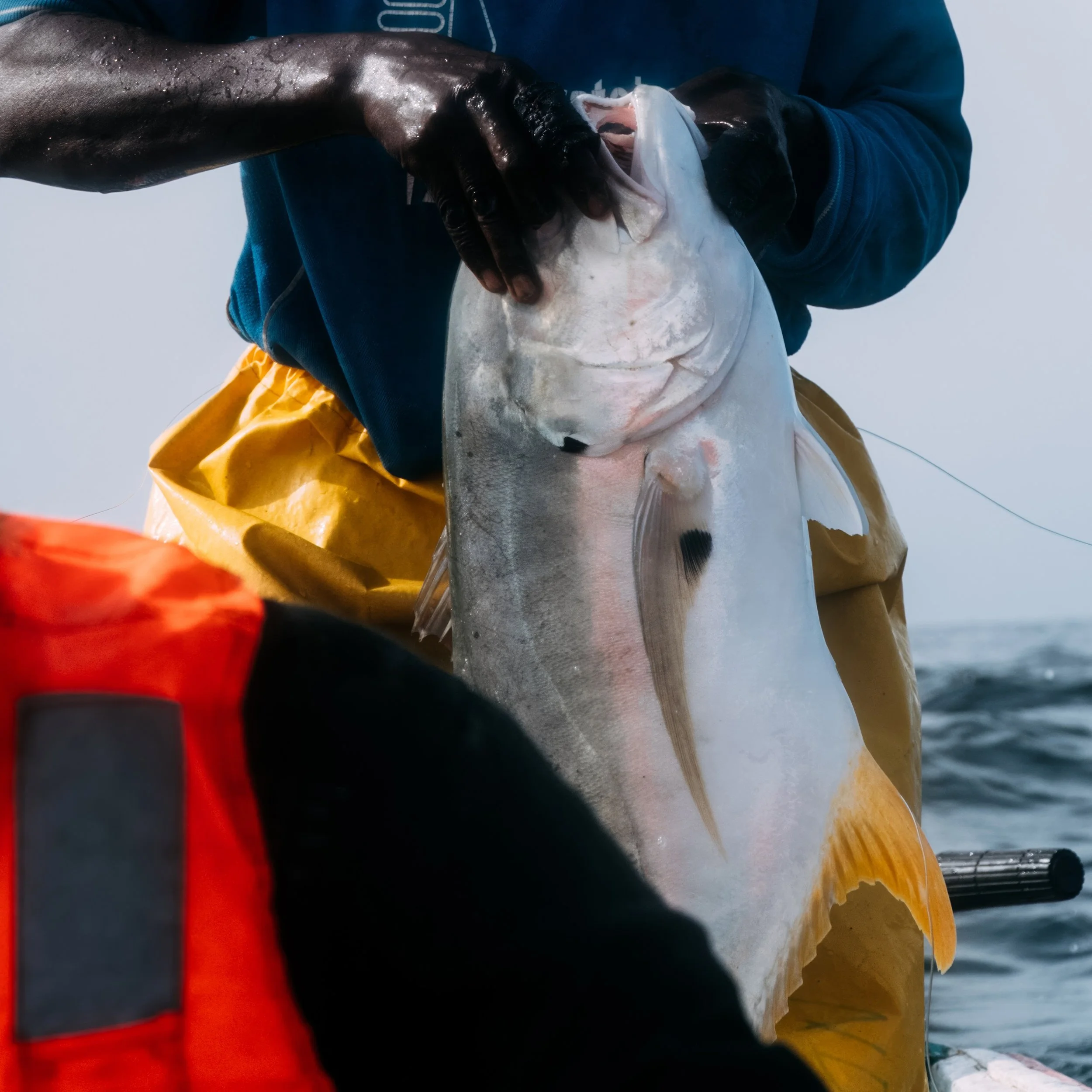 Fishing-Thumbnails-Fish Out Of Water-Detail.jpg