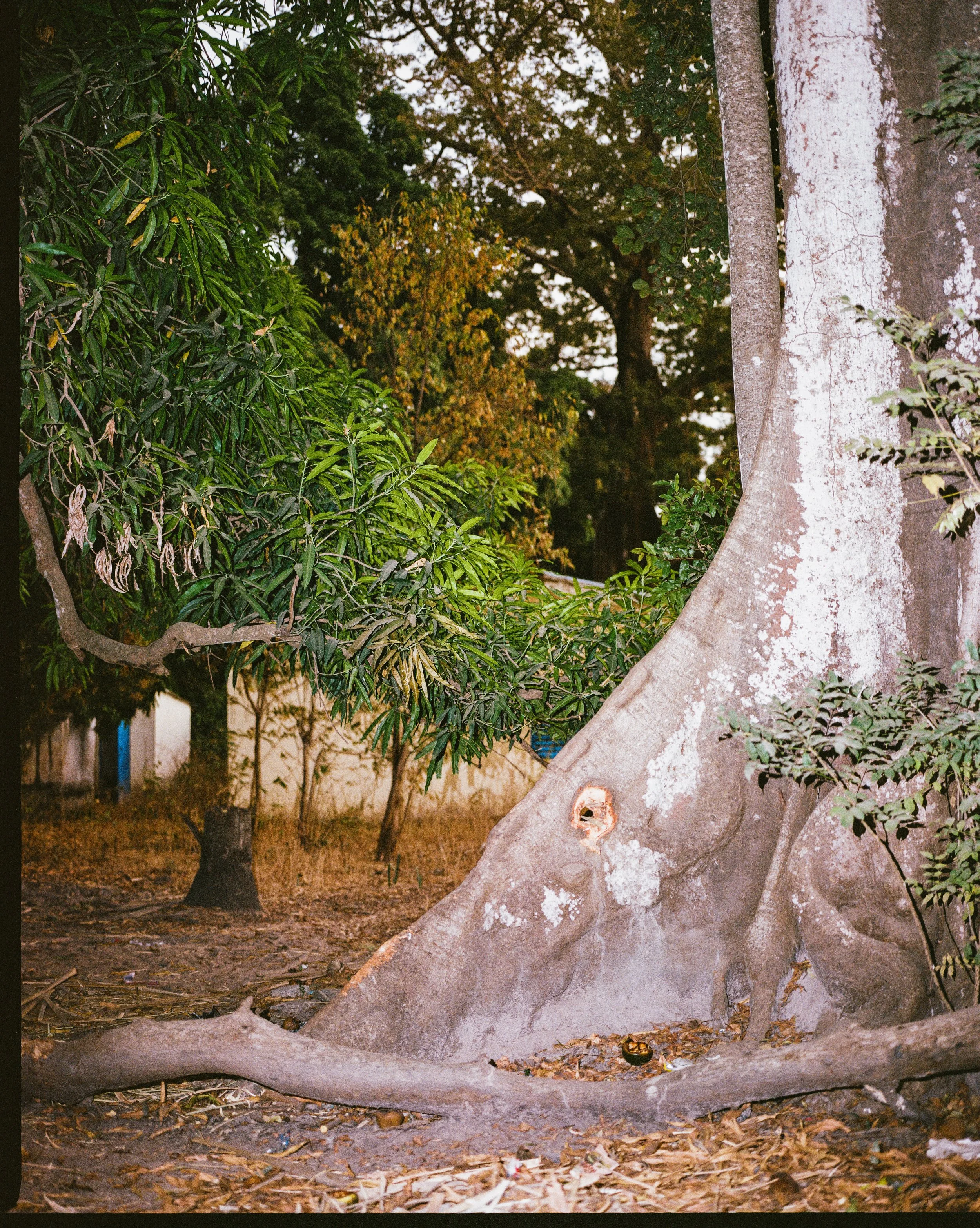 Casamance-2-Sejour-120mm-202601-IbraWane-15590008.jpg