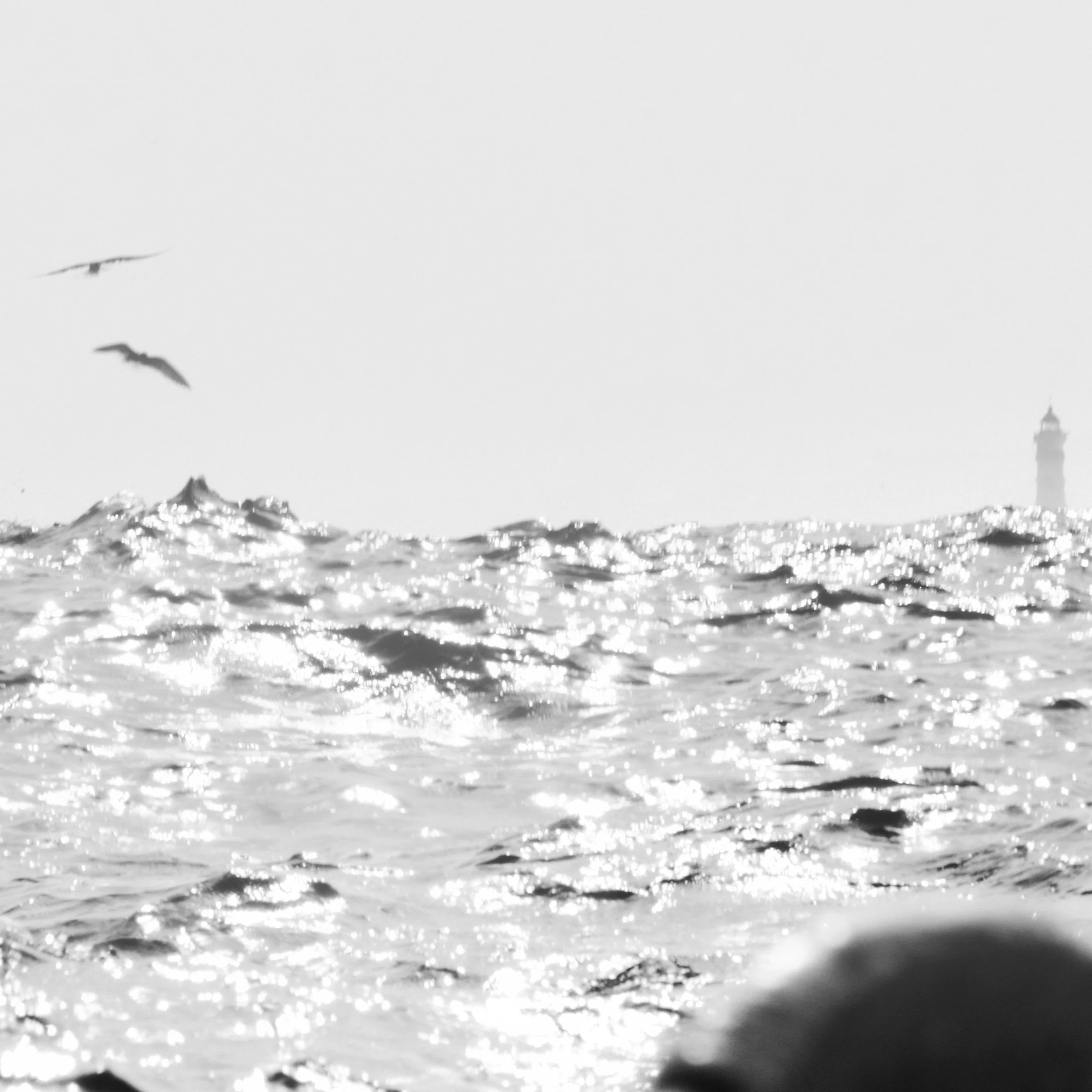 Fishing-IbraWane-Detail-1x1-SilverSurfer.jpg