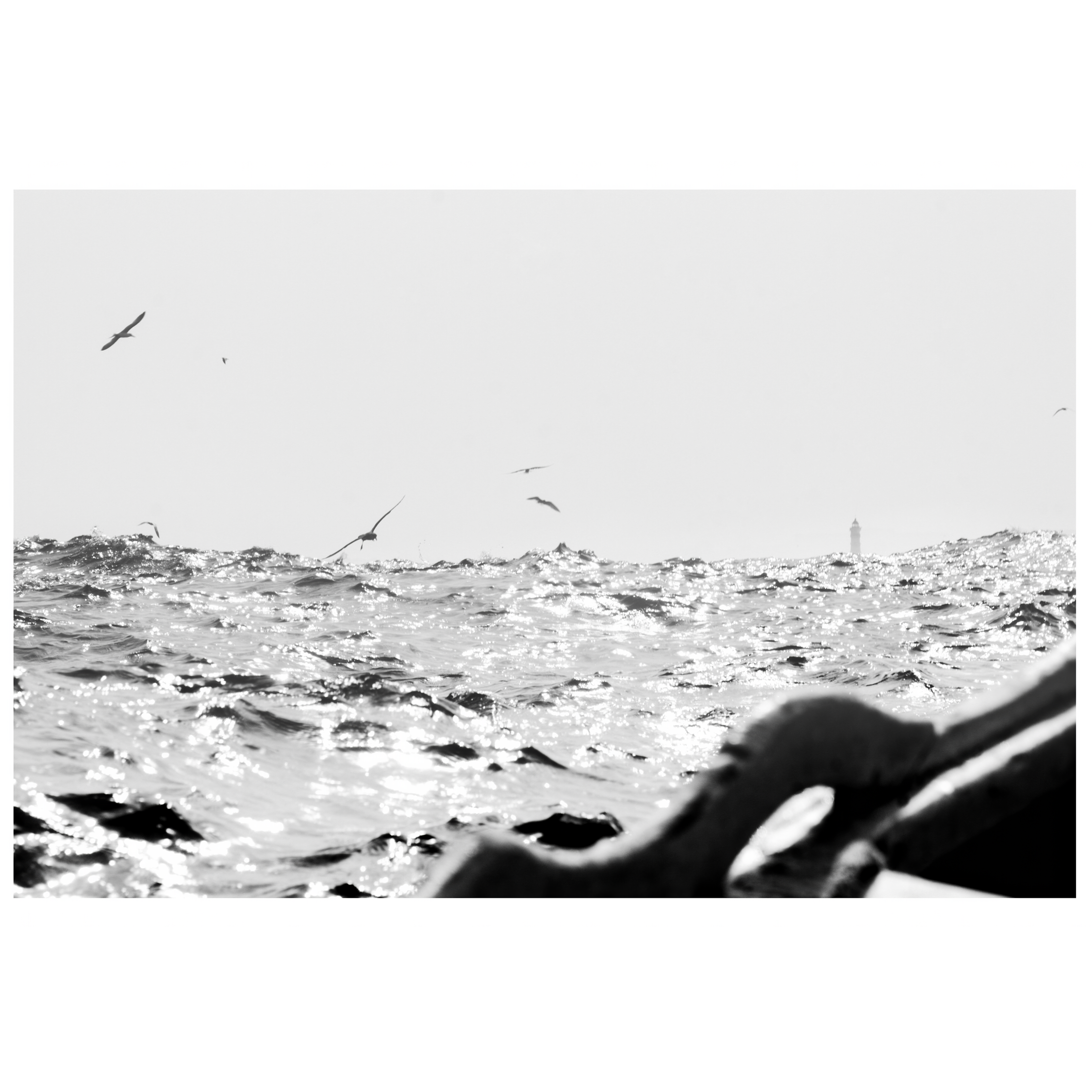 Fishing-Print-1x1Thumb-IbraWane-SilverSurfer.png