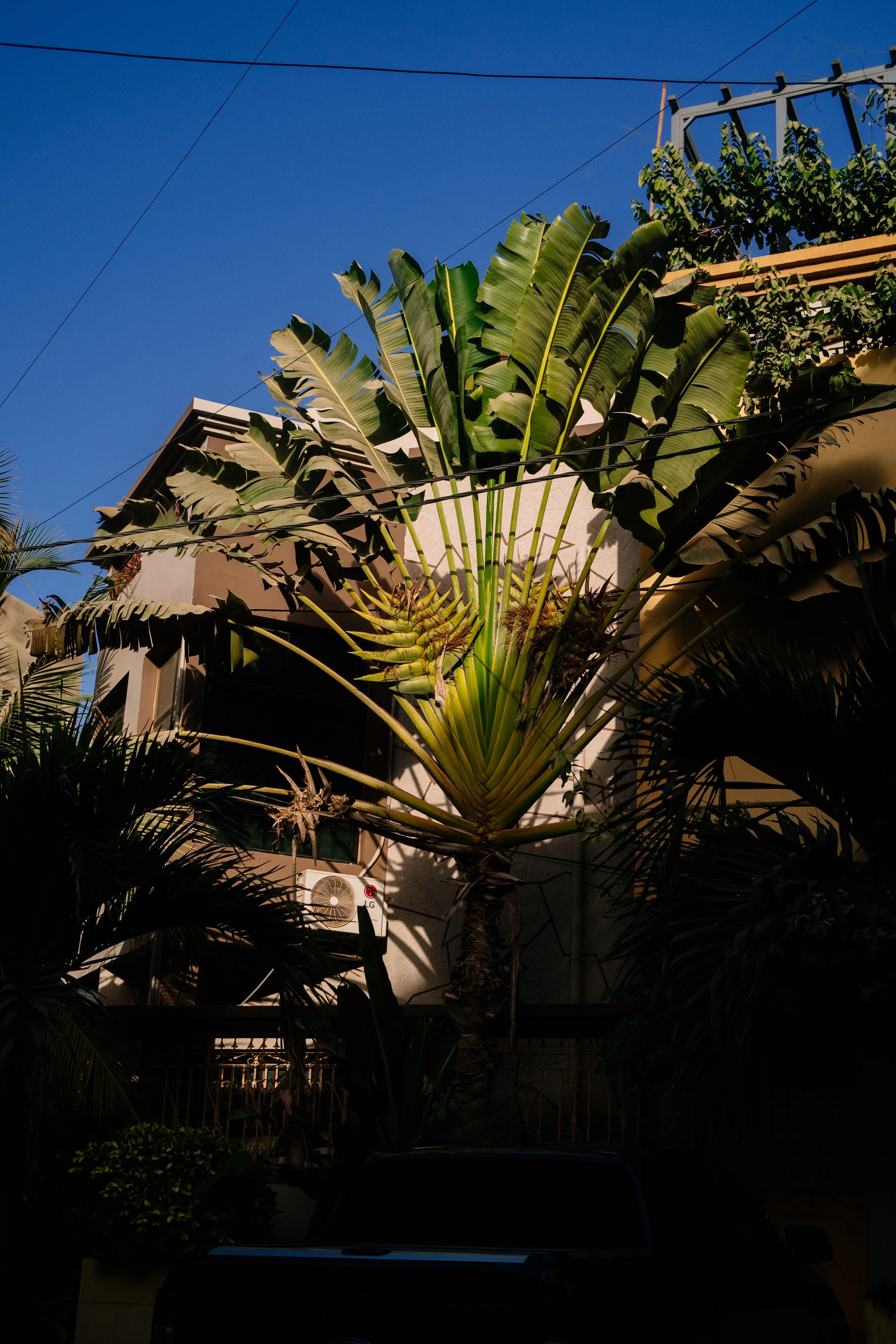 Dakar-Ouakam-MbackiouFaye-260222-IbraWane-DSC07861.jpg