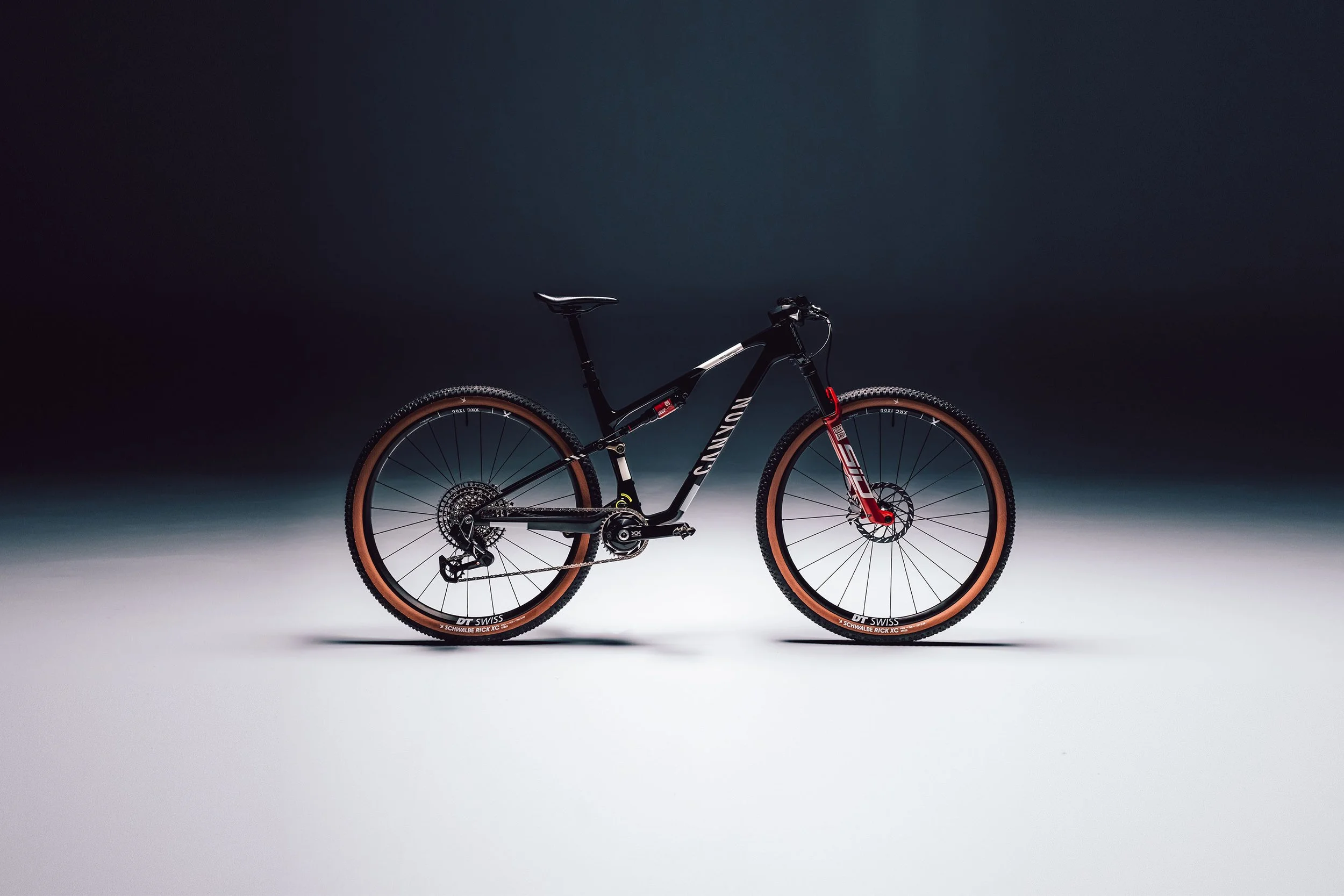 Canyon_art direction_2.jpg