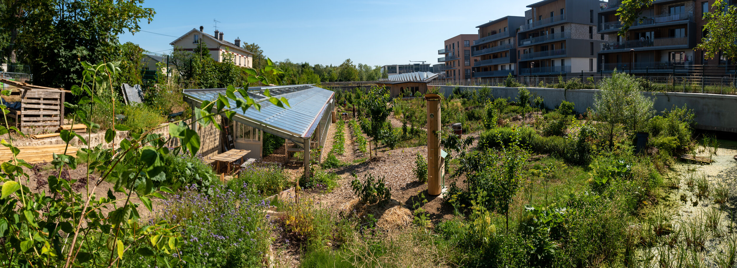 Ferme Permaculture (Nature et Découverte)(73).jpg