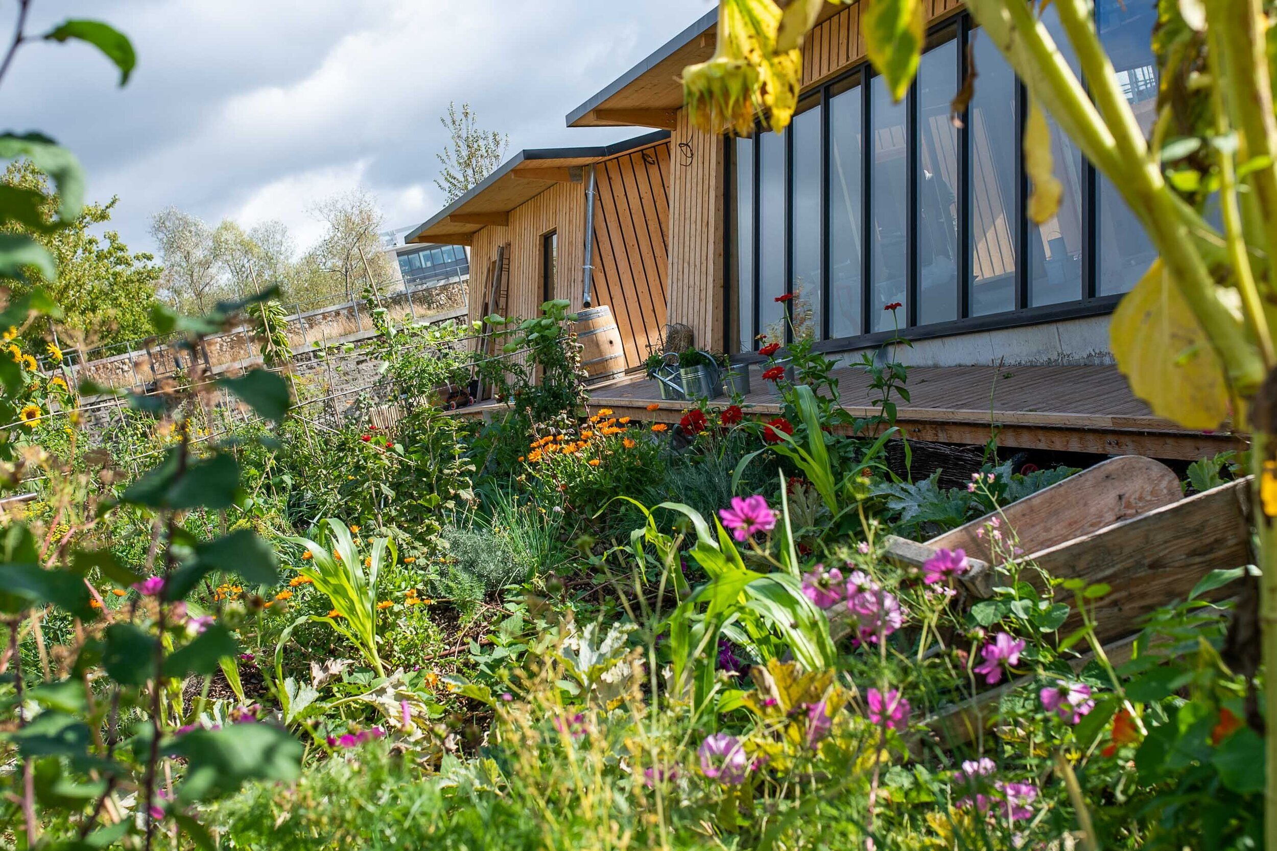 Cabane jardin enfant - Nature & Découvertes