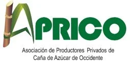 Aprico logo 2.jpg