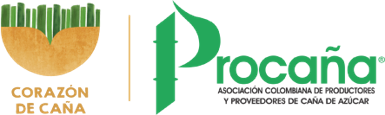 procana logo 2.png