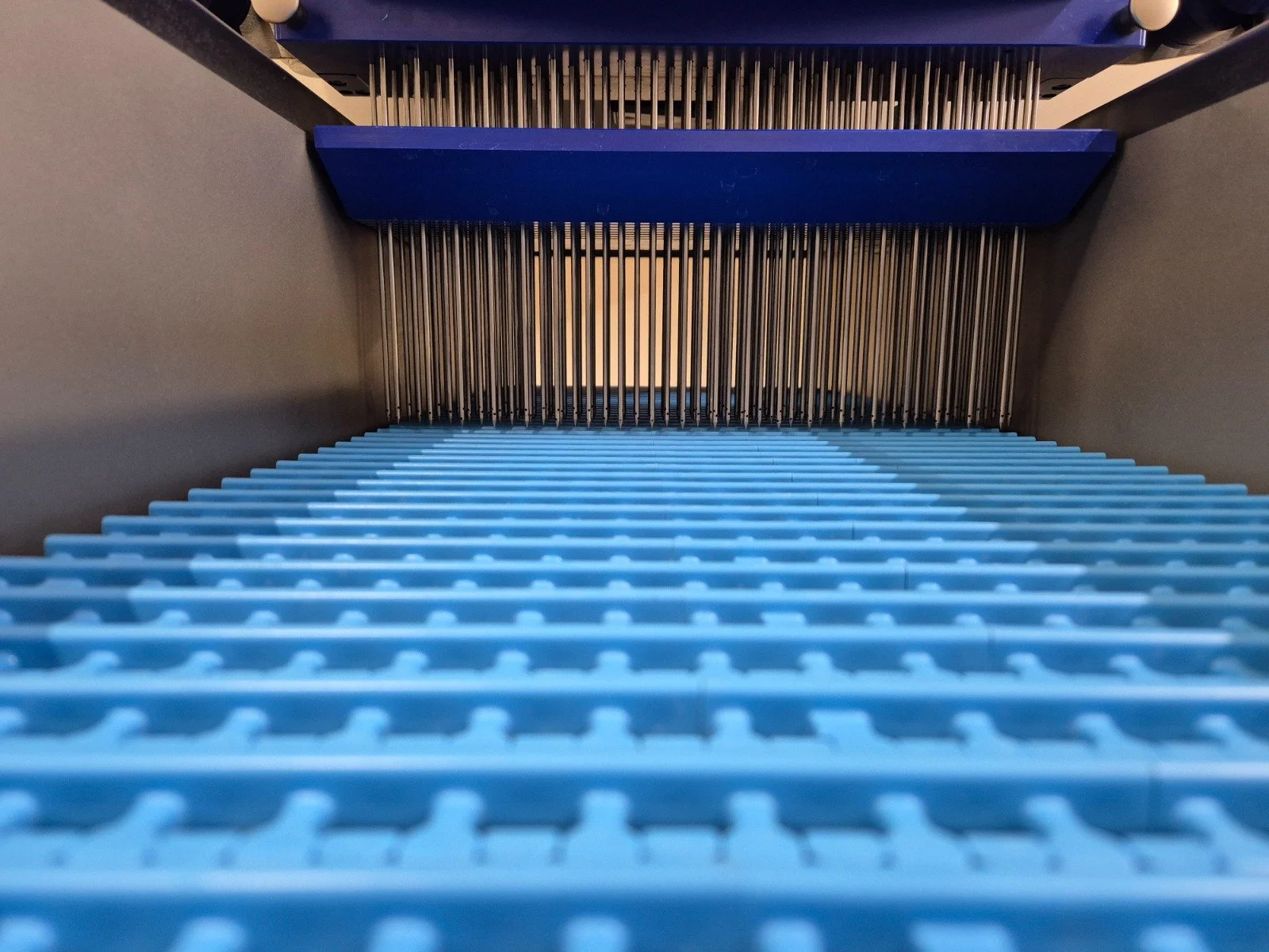 WhatsApp Image 2025-05-03 at 17.16.39 (2).jpeg