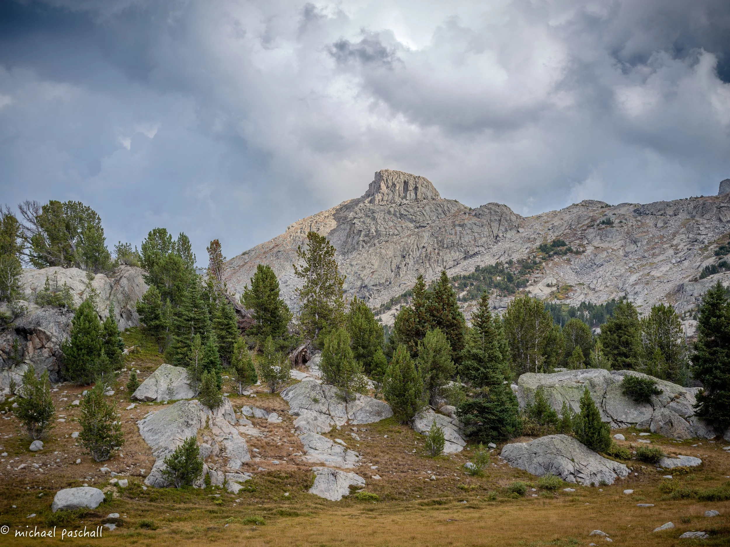 IMG_0558 copy.jpg