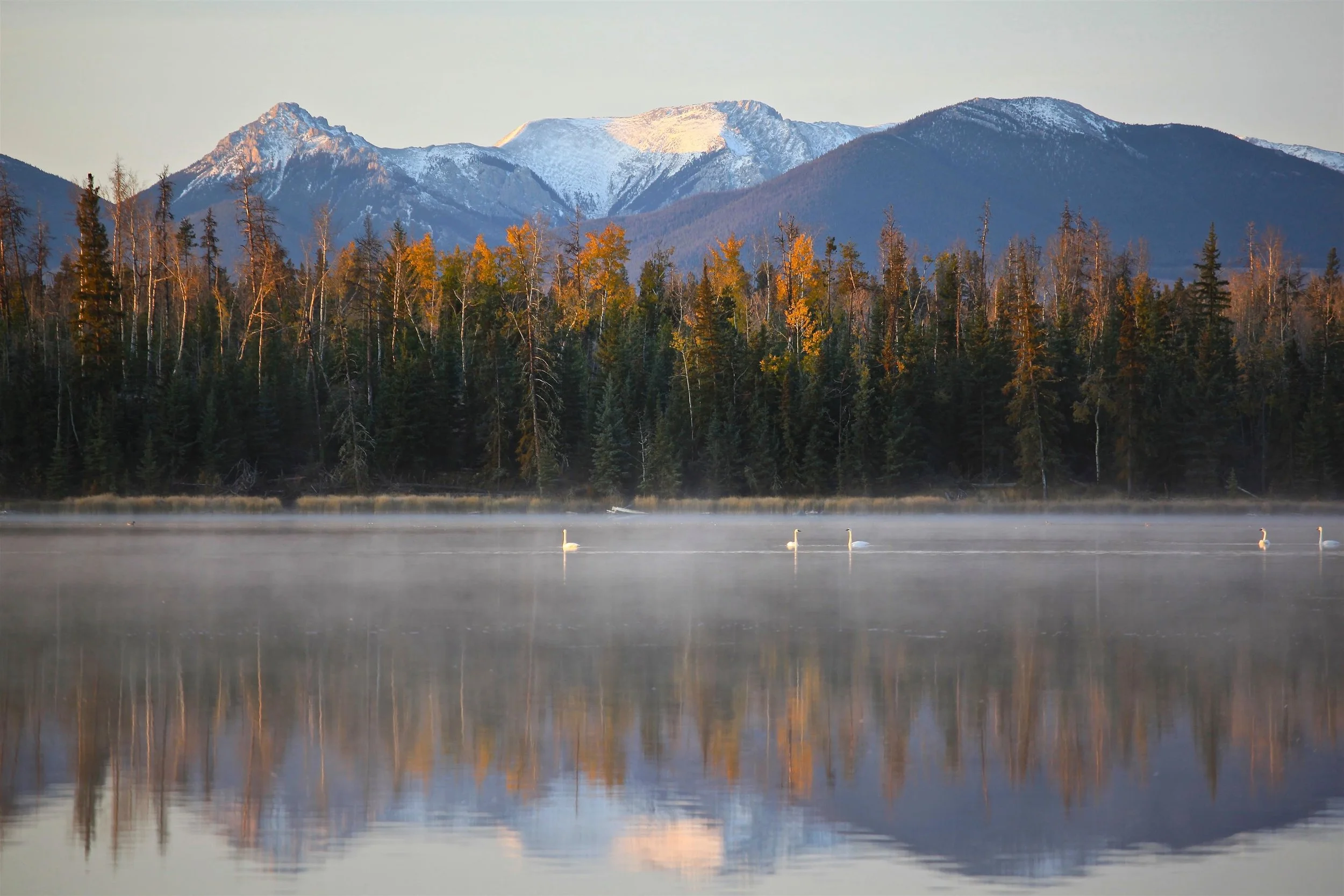  1/8 Ownership   Meadow Lake Ranch   British Columbia, CA • 700+/- Acres • $355,000   Get Started  