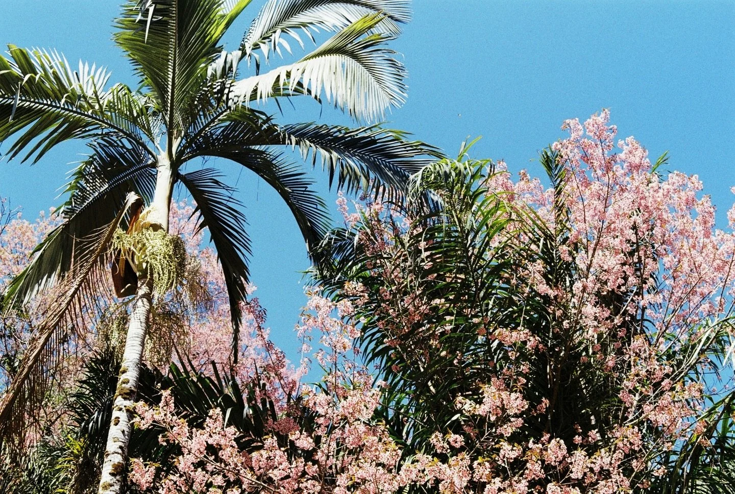 Fresh season, fresh energy 🌸✨

Here&rsquo;s to new beginnings, bright ideas, and continued growth. Wishing you a day filled with positivity, inspiration, and a little extra joy. Happy Easter from our team to yours! 🐣💛