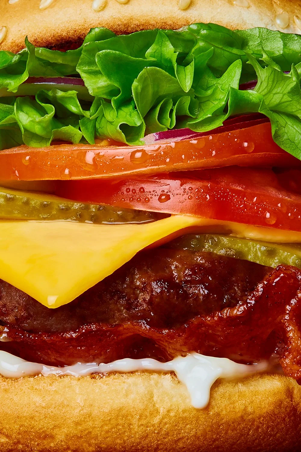 FoodPhotographerLondon_CharlotteNott-Macaire_Cheeseburger_Macro.jpg