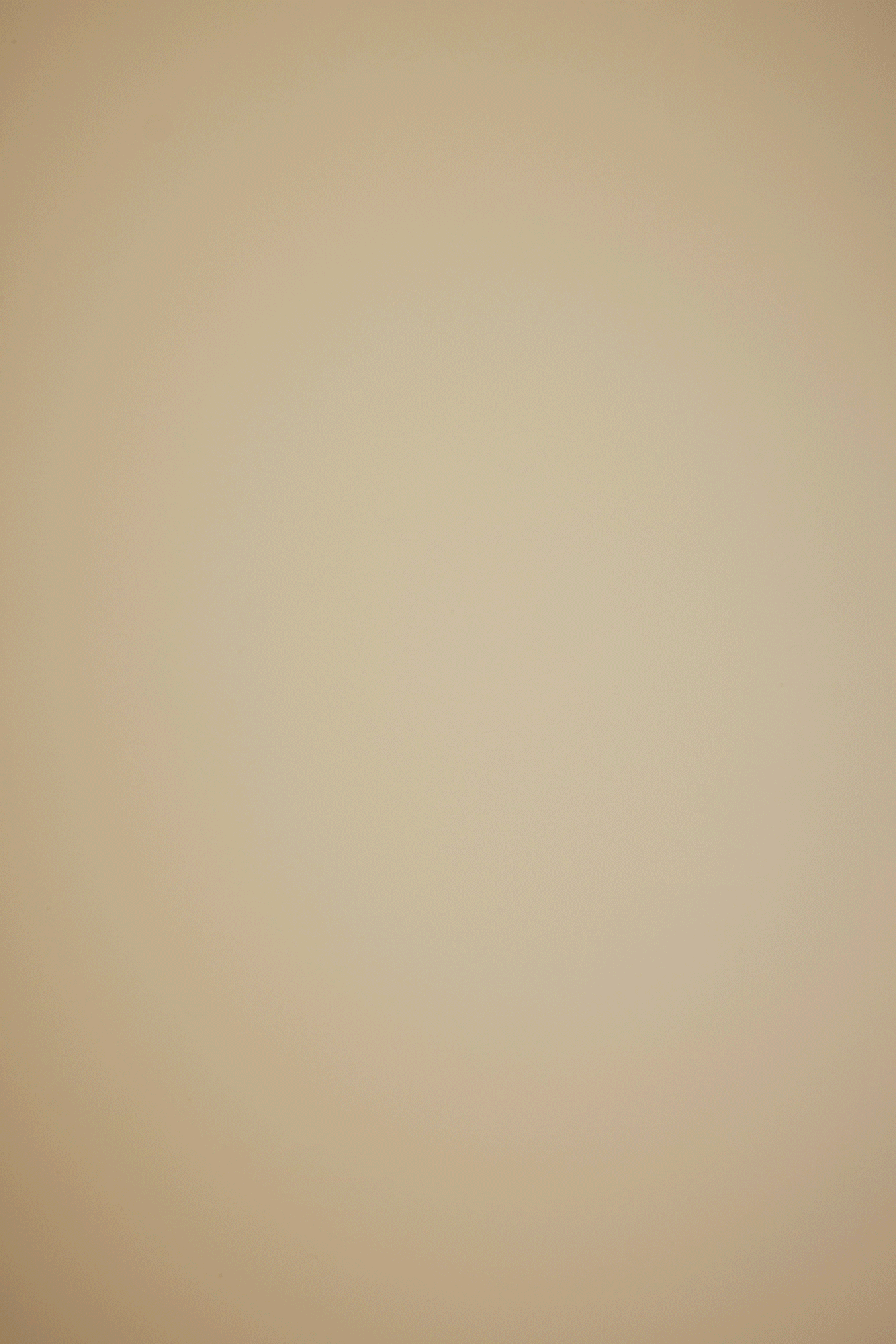 Blank beige background