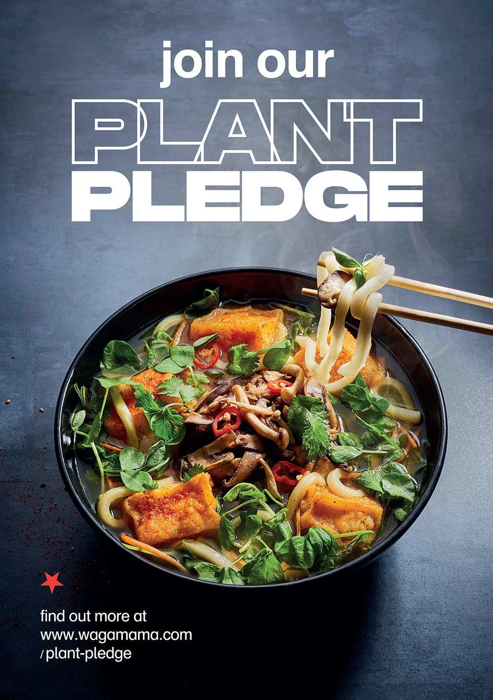 FoodPhotographerLondon_CharlotteNott-Macaire_Wagamama_PlantPledgeAboard.jpg