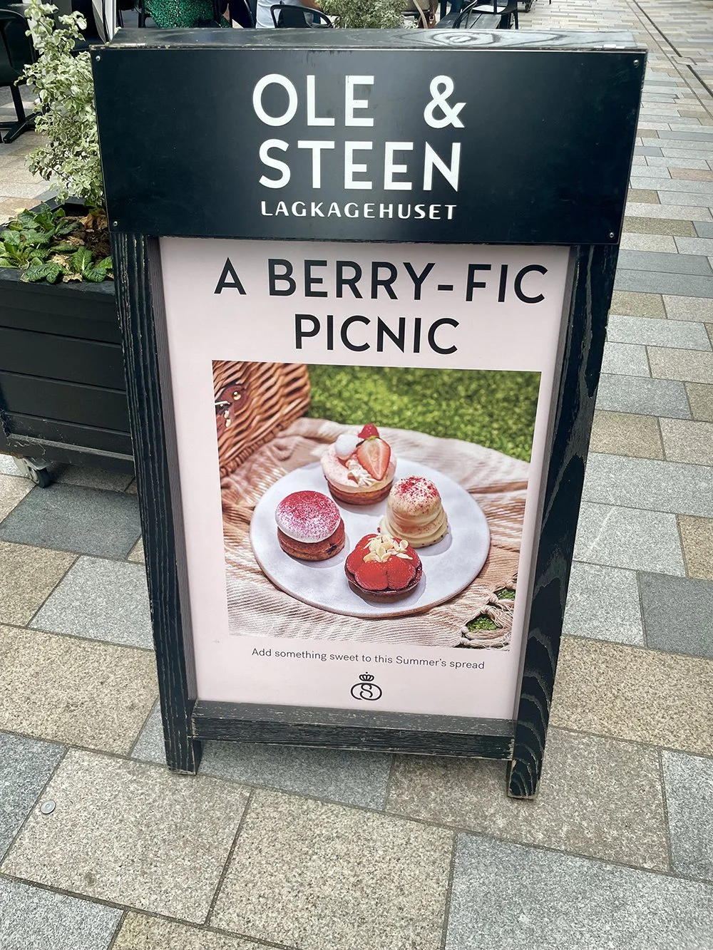 FoodPhotographerLondon_CharlotteNott-Macaire_OleSteen_BerryFicPicnicAboard_InSitu.jpg