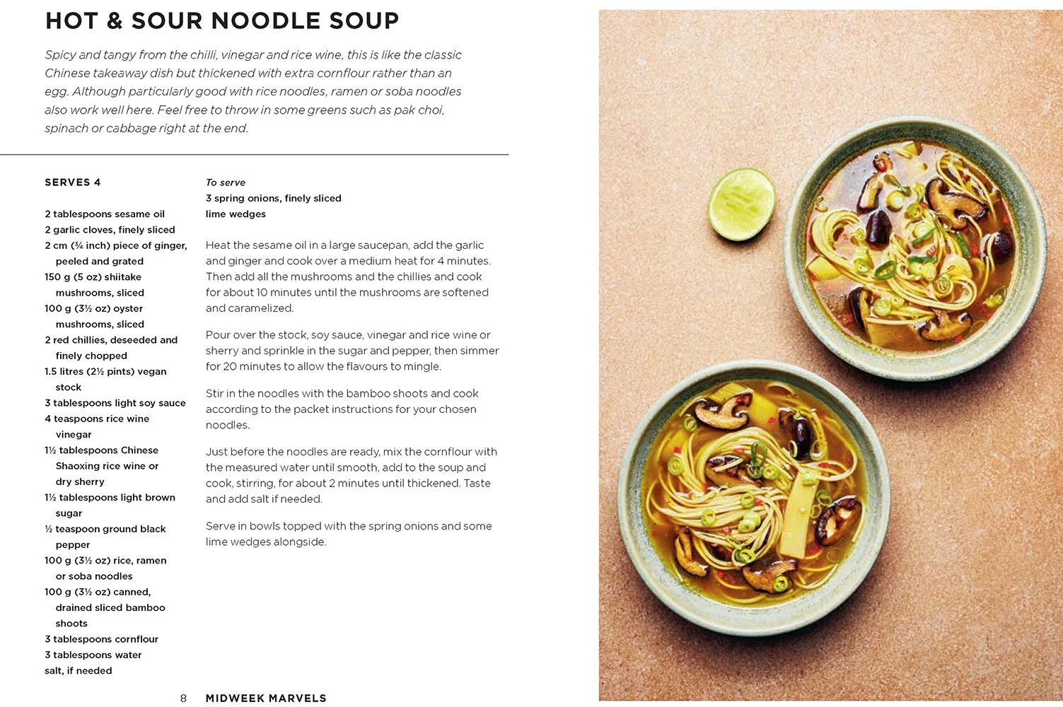 FoodPhotographerLondon_CharlotteNott-Macaire_BrokeVeganOnePot_HotNoodleSoupSpread.jpg
