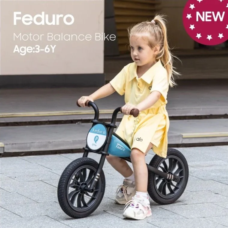 QPLAY Bici per bambini  dai 3 ai 6 anni, bici a spinta da 30,5 cm, senza pedale, con sedile regolabile, idea regalo giocattolo