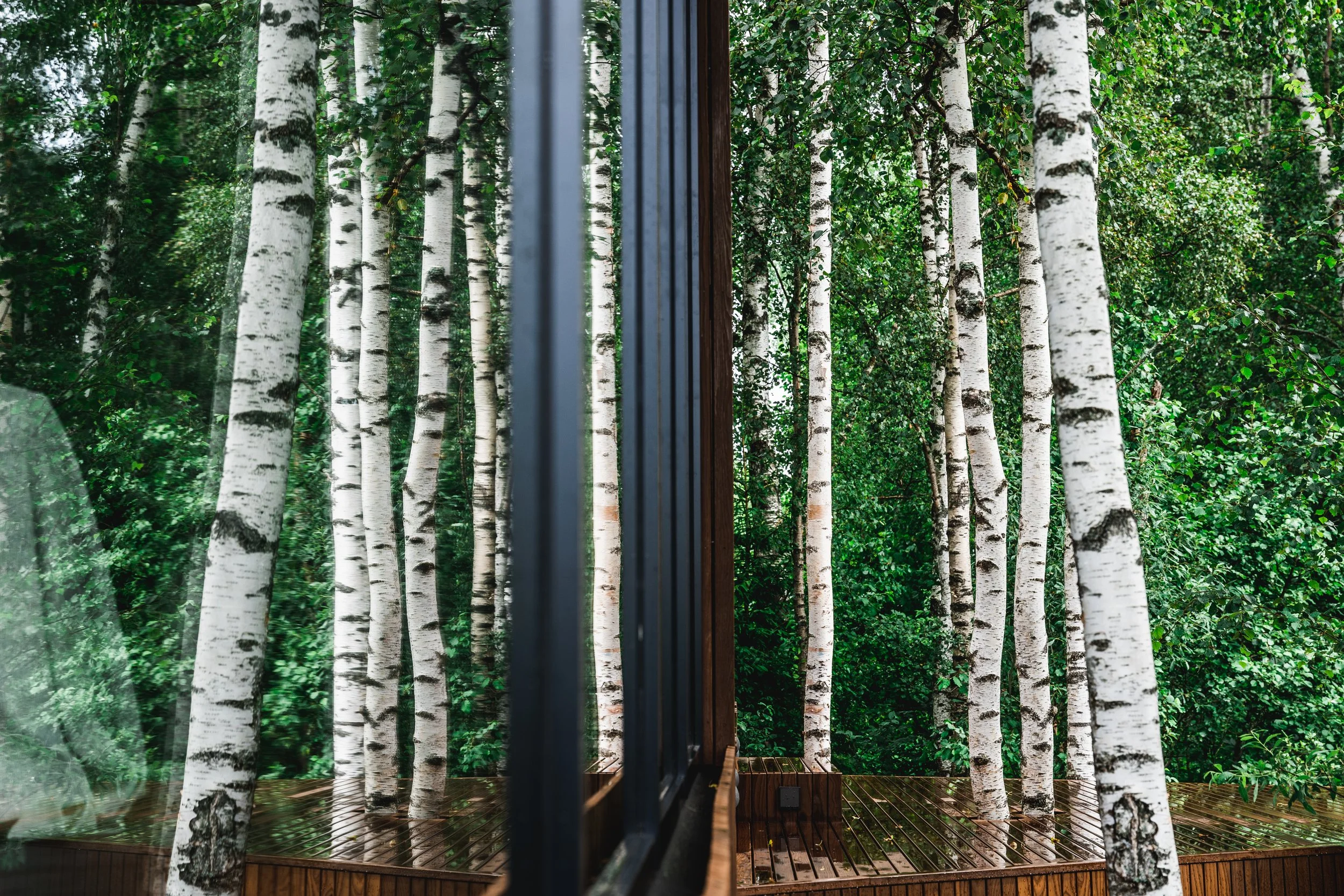 NATURE VILLA (6).jpg