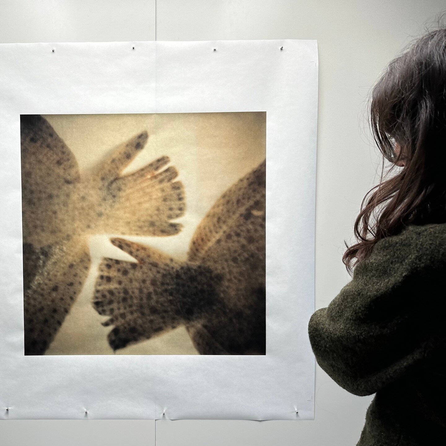 Nathalie Baetens au studio 🙌
 
Finalisation du tirage sur papier japonais et s&eacute;ance de signature !

Tirage pour @antonin_anzil 

@baetensnathalie 
@awagami_factory 

#oiseaux #baetensnathalie #antoninanzil #papierjaponais #photoprint