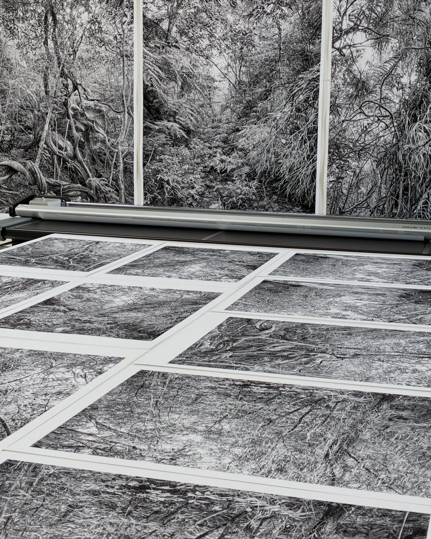 Tirages en Piezography r&eacute;alis&eacute;s r&eacute;cemment pour l&rsquo;exposition de Thierry Cohen, maintenant ouverte ! Let&rsquo;s go ! 🚀 @thierrycohenphotography 
&laquo; Carbon Catchers &raquo;, Maison d&eacute;partementale de la Nature du 