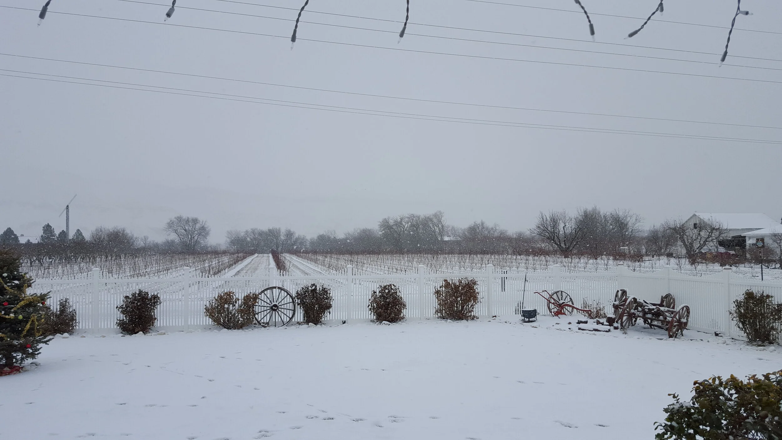 20151225_094123.jpg