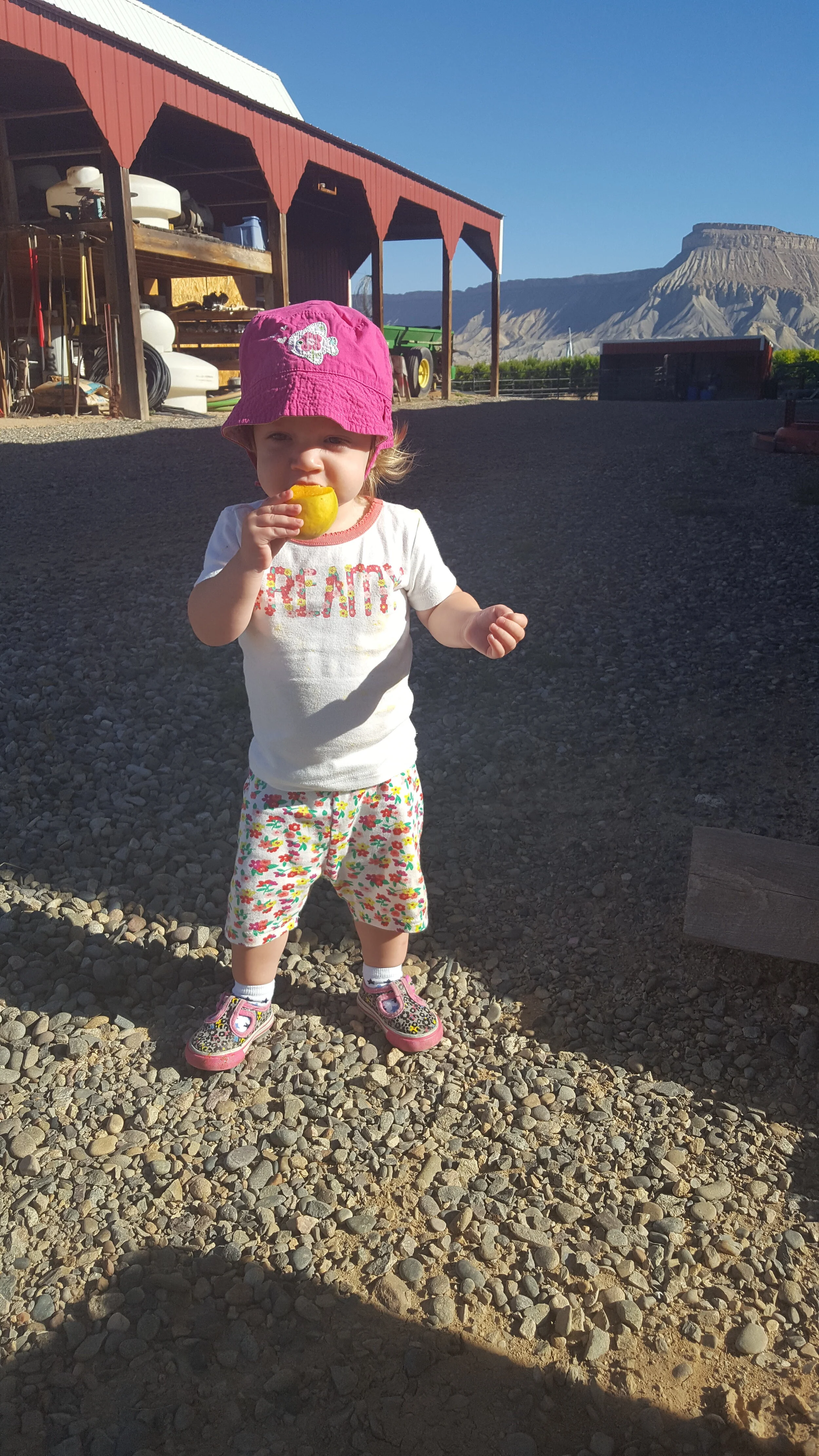 20160713_084132.jpg