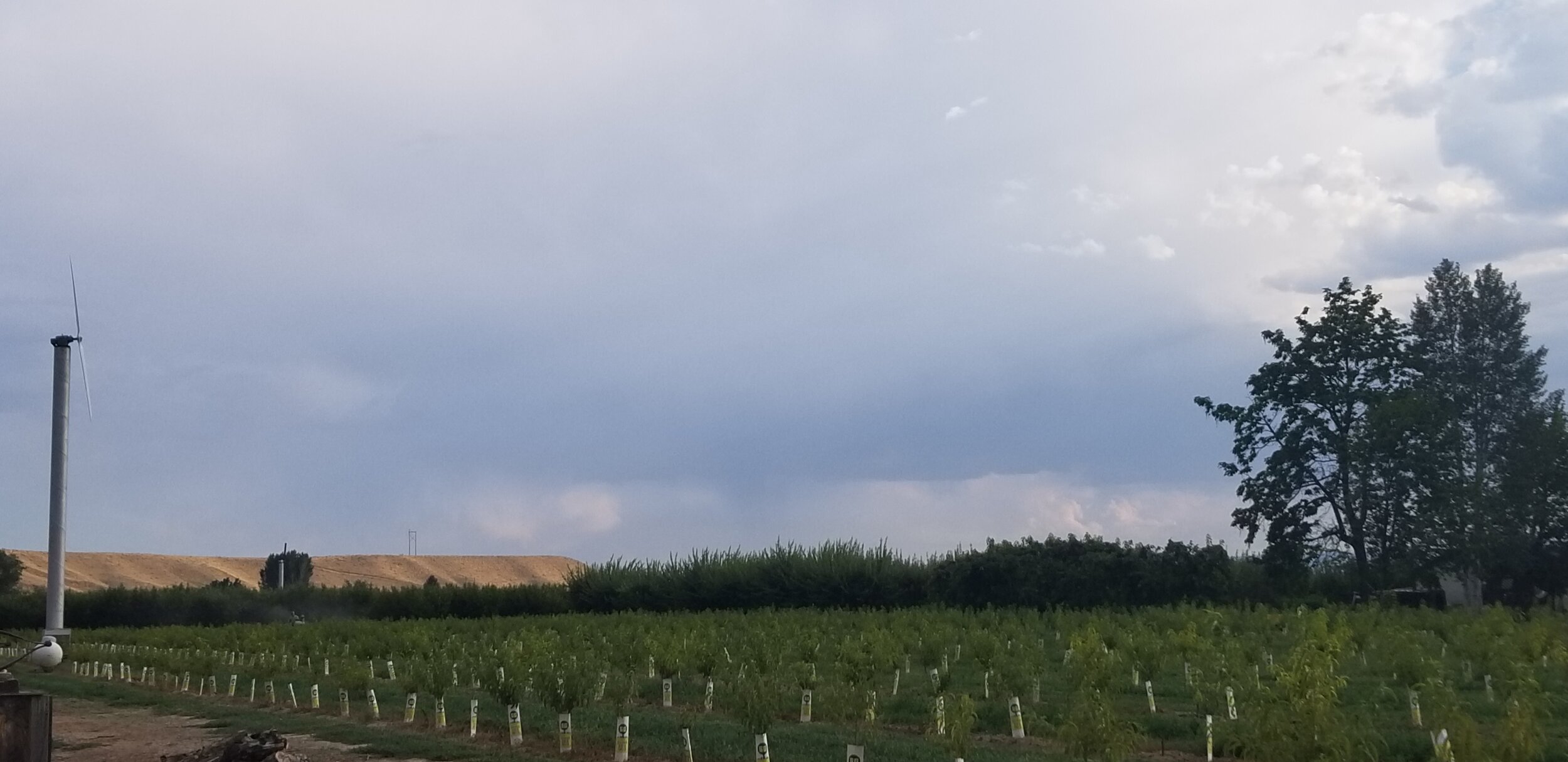 20180727_184448.jpg
