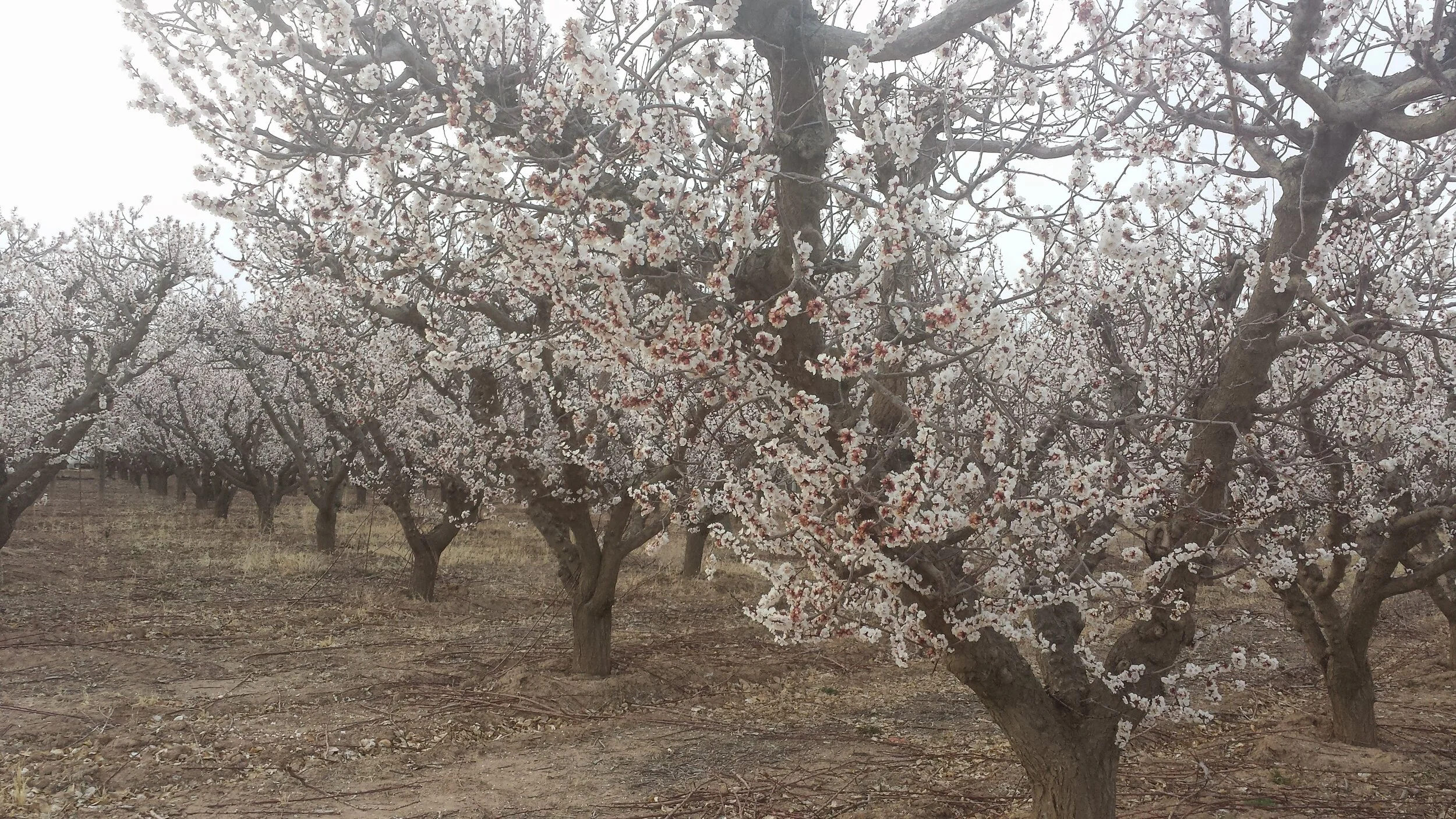20150314_183924.jpg