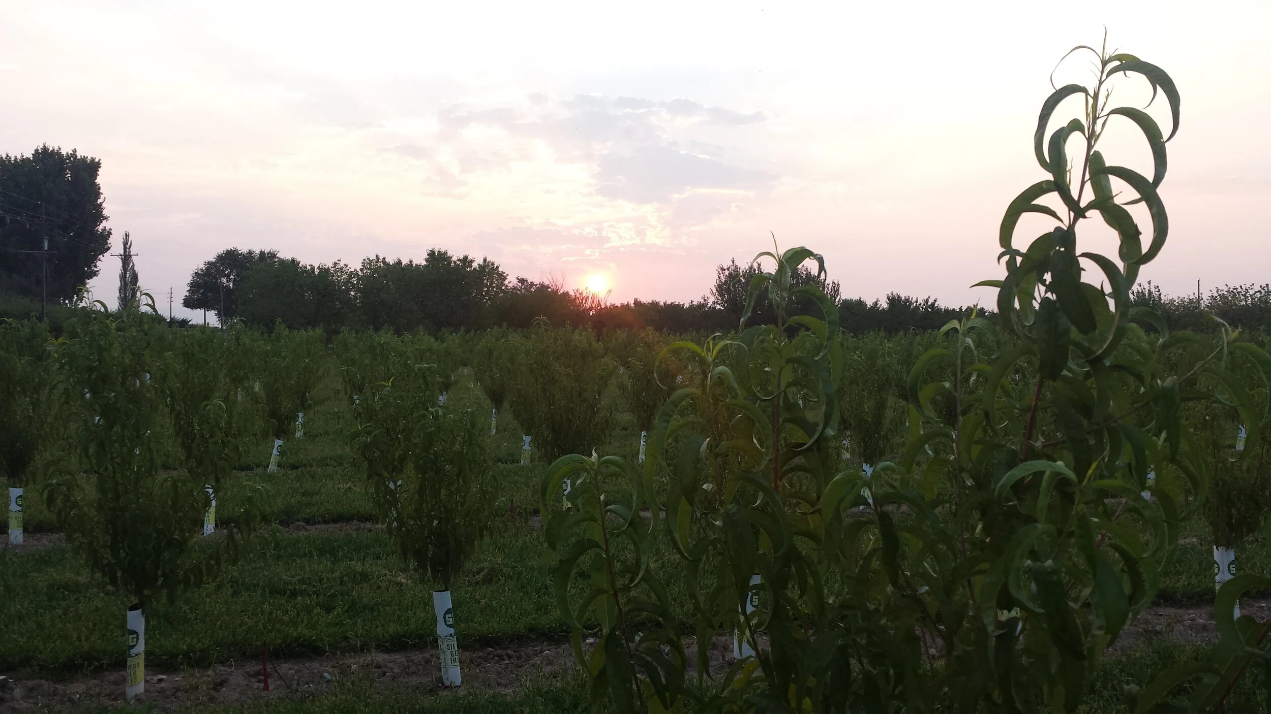 20150822_194346.jpg