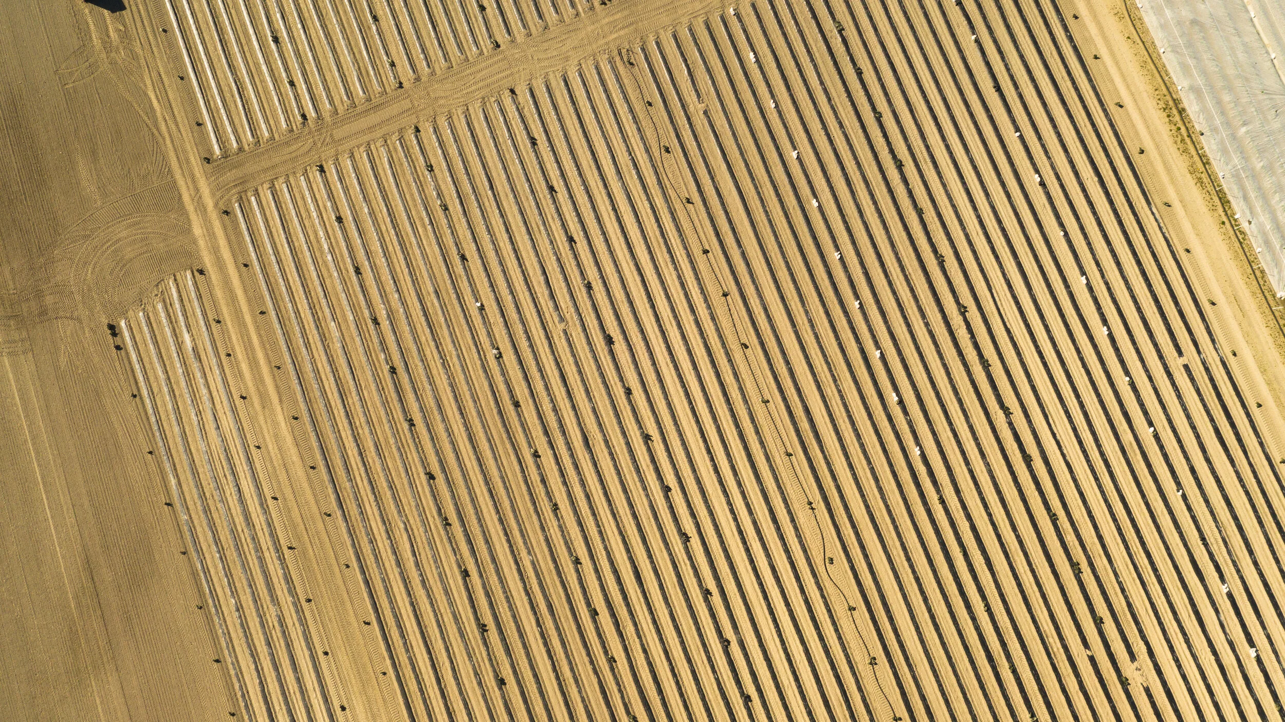 DJI_0001.jpg
