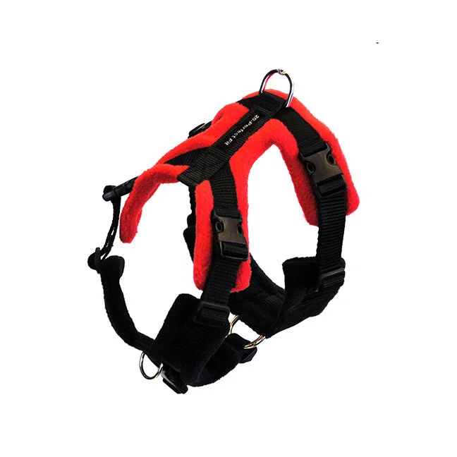 Dog Training Resources Cheyenne, WY DogSquared Training and