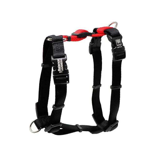 Dog Training Resources Cheyenne, WY DogSquared Training and