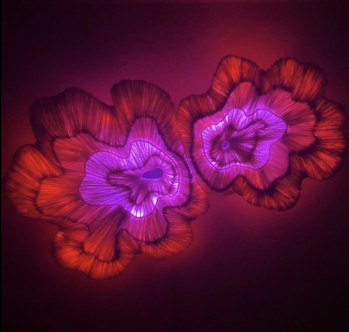 This Spring’s Top 10 Must Know Creatives