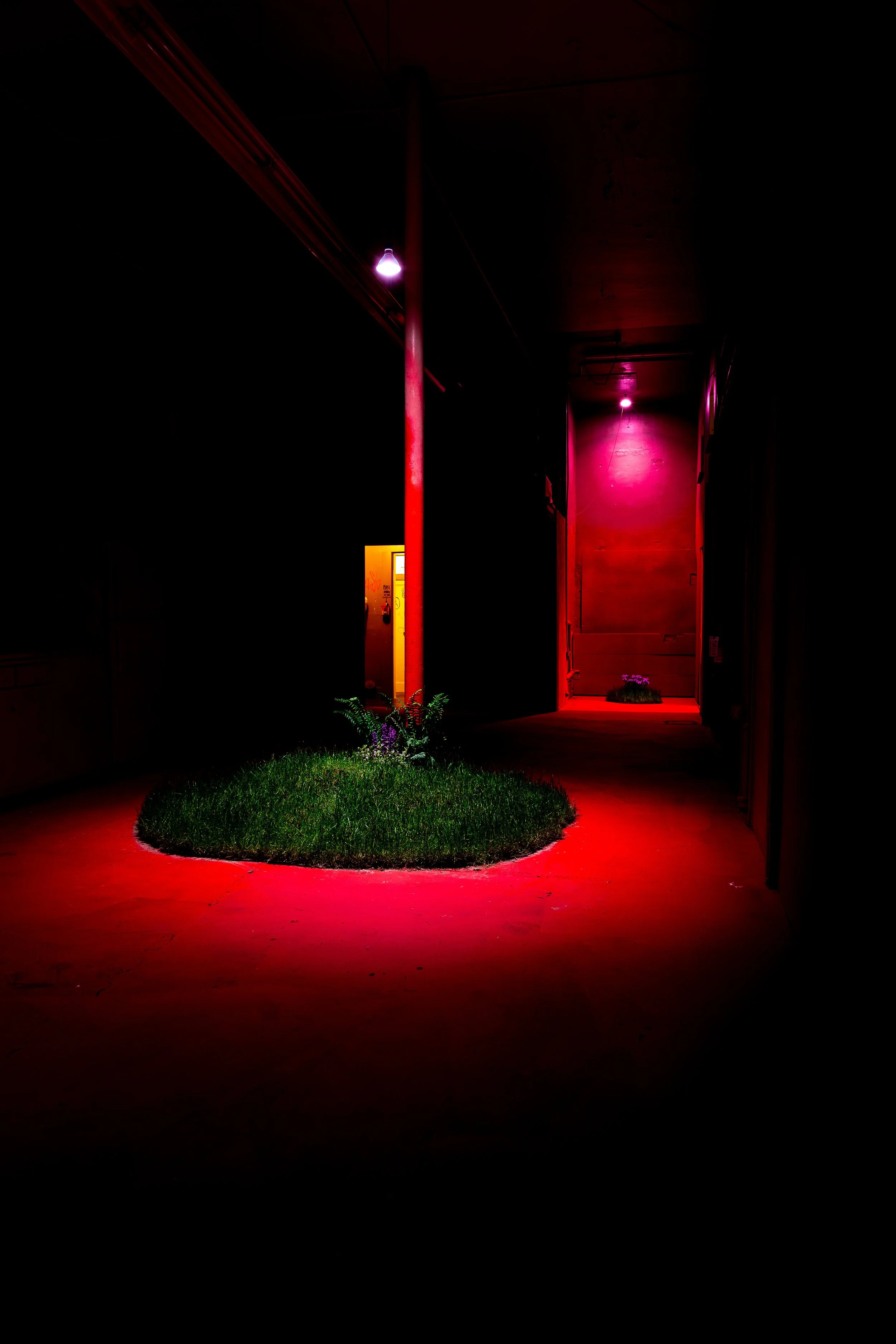 Pop Up Gallery 5-2022-3949.jpg