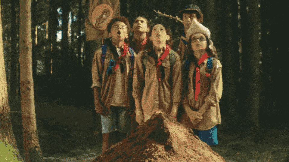 Ameisenhaufen_Banner.gif