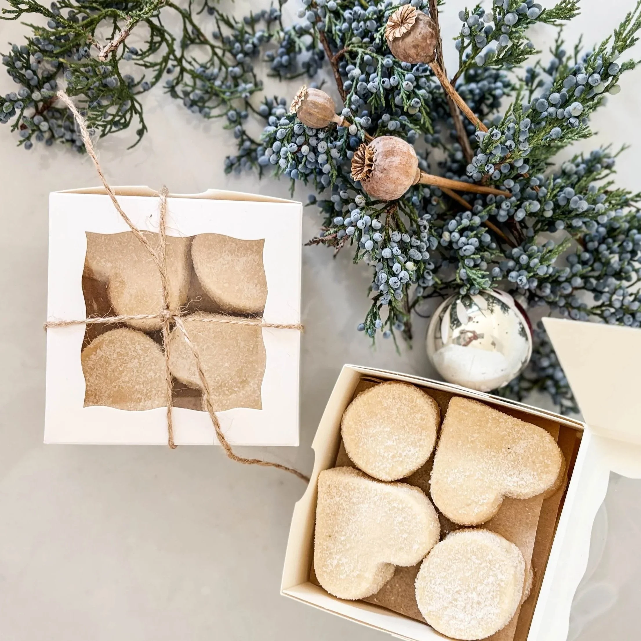 42373274-56B6-4FB9-8A13-DA1F95BB40D0.jpg (Copy)