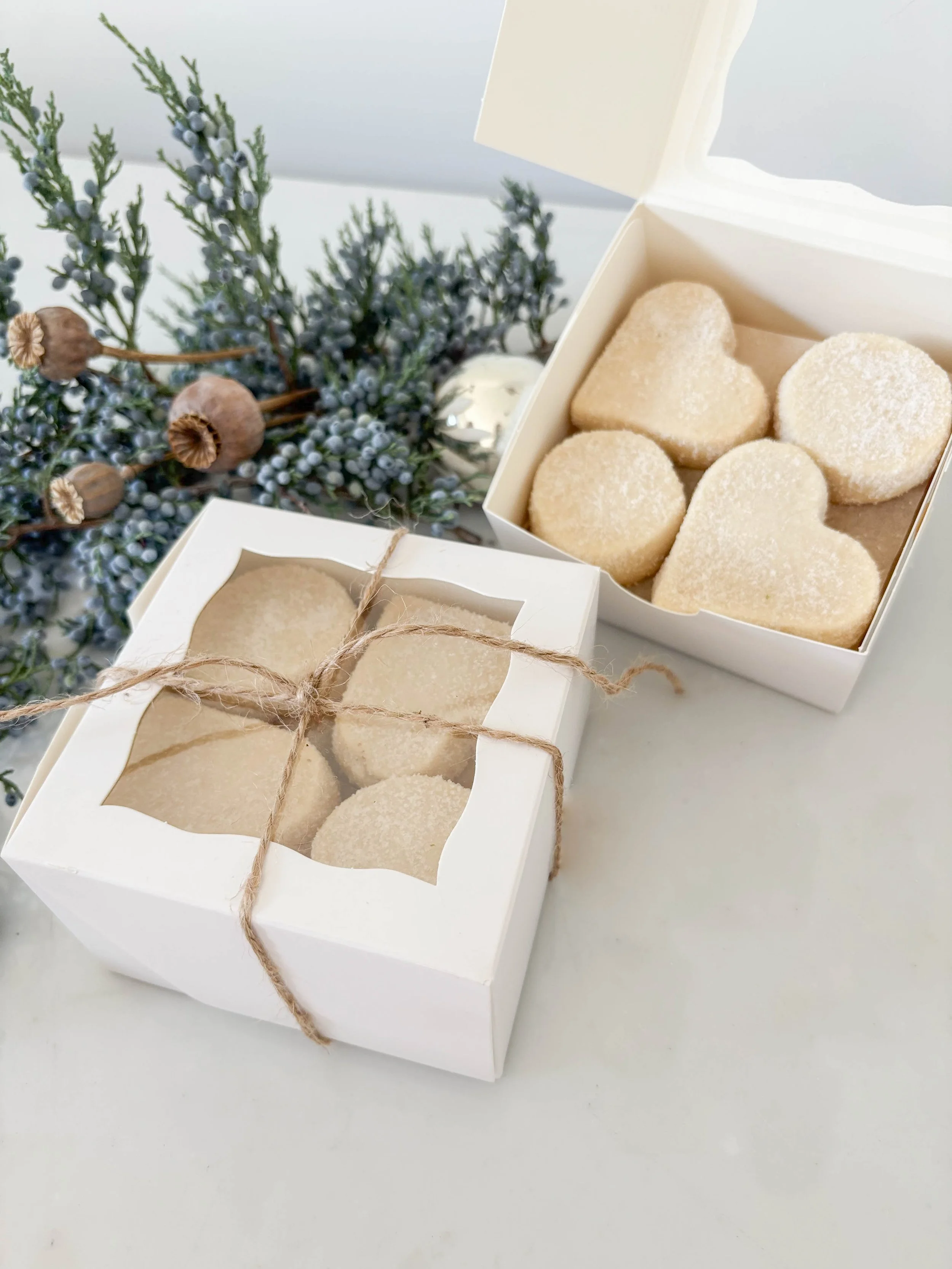 A8B6D986-392B-4DBD-BCB3-9A44EA892D86.jpg (Copy)