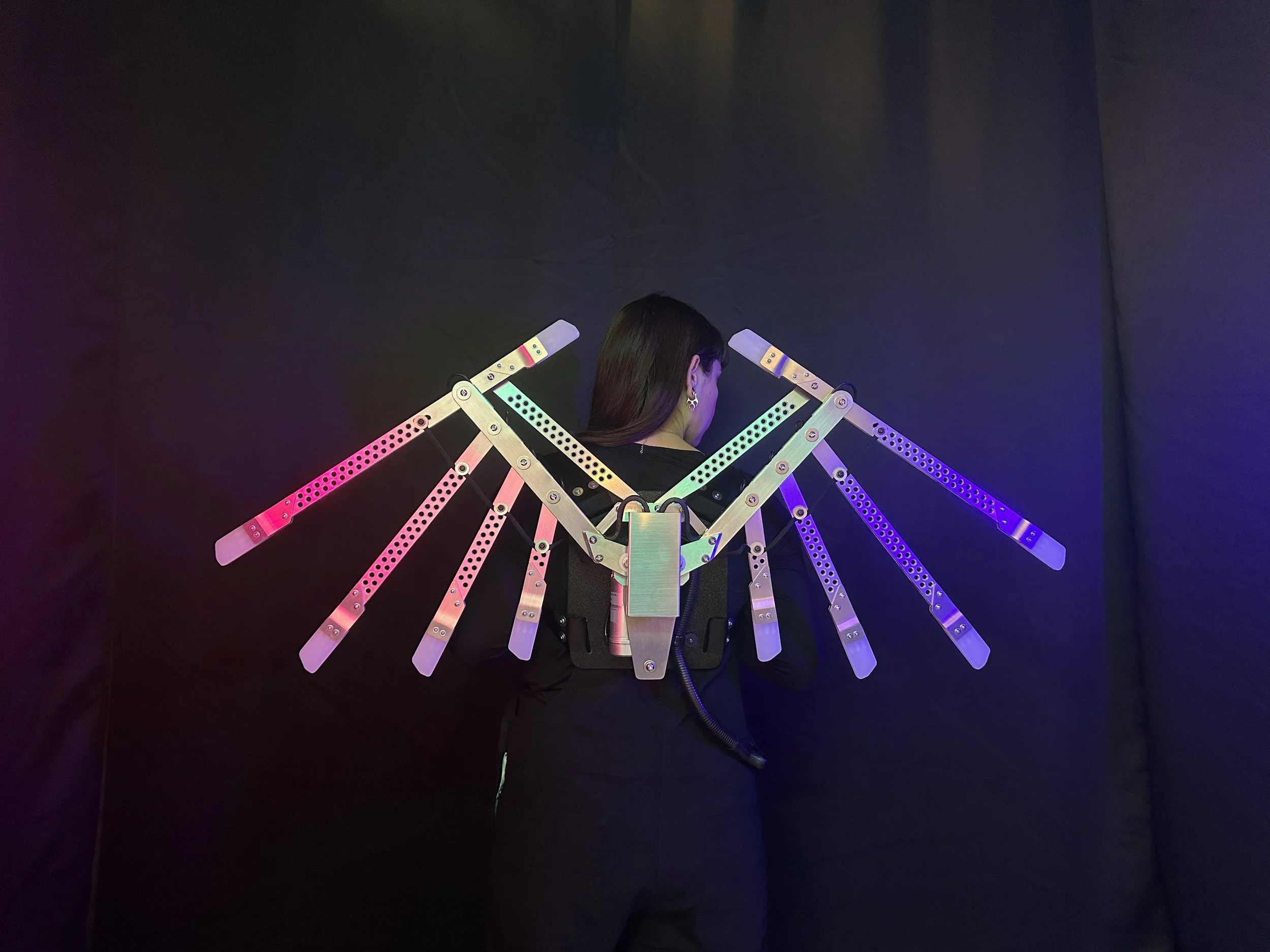 LES INDUSTRIELLES - ailes articulées - 01.jpeg