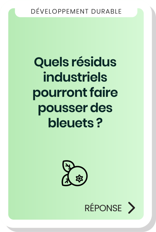 Quels résidus industriels pourront faire pousser des bleuets ?