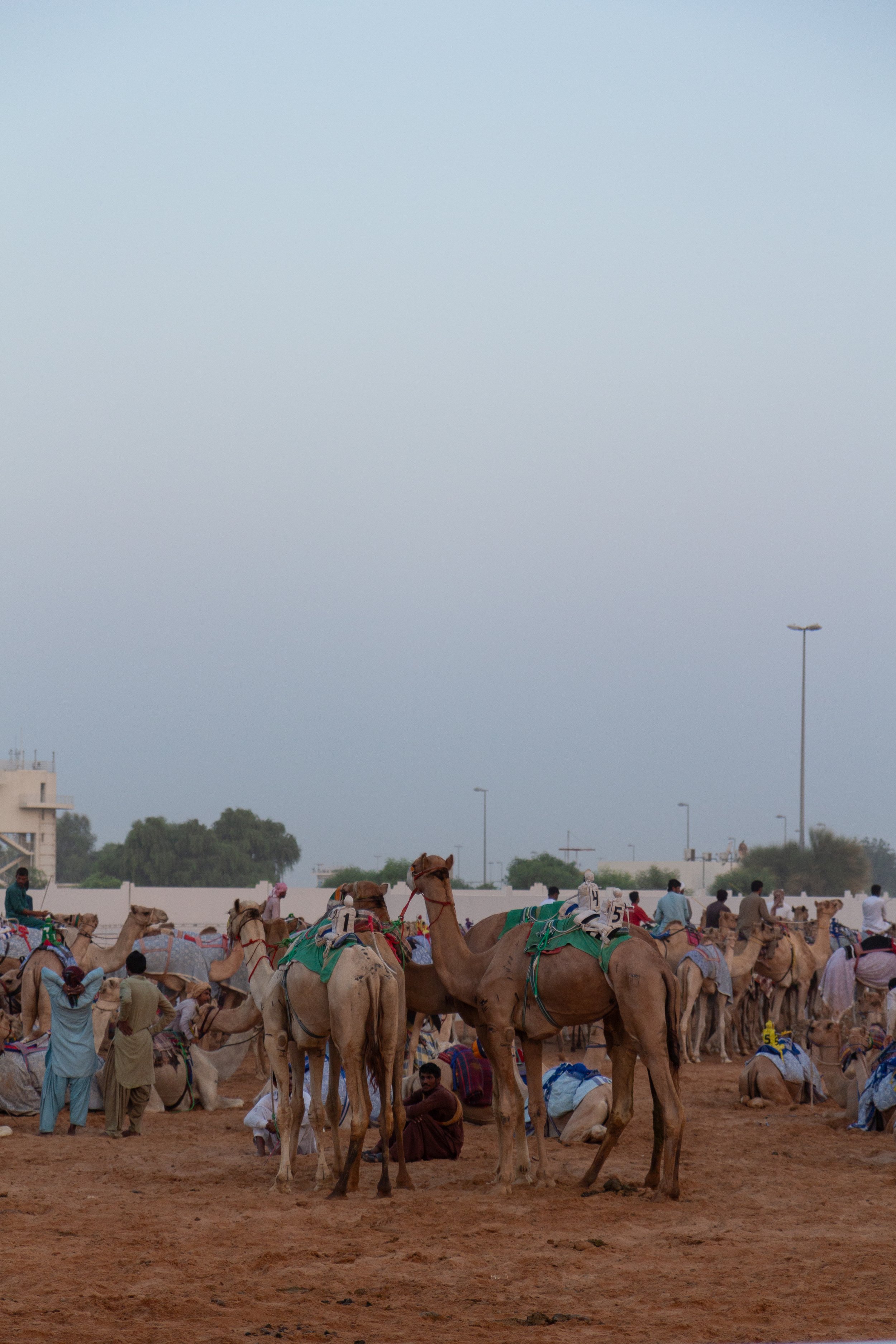 ABUDABI_Sep2023-357.jpg