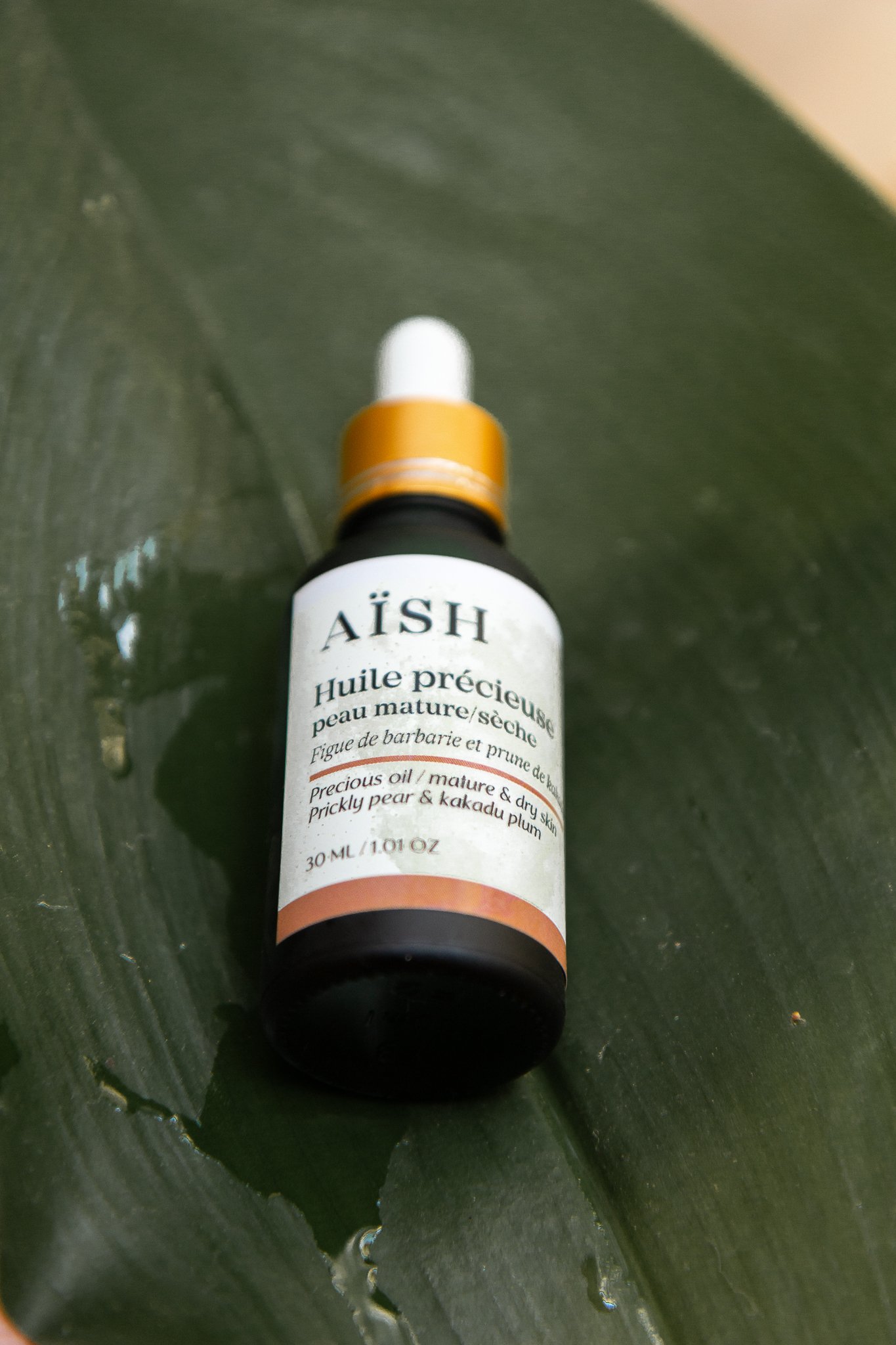 Aishbeauté_TULUM_parttwo-65.jpg