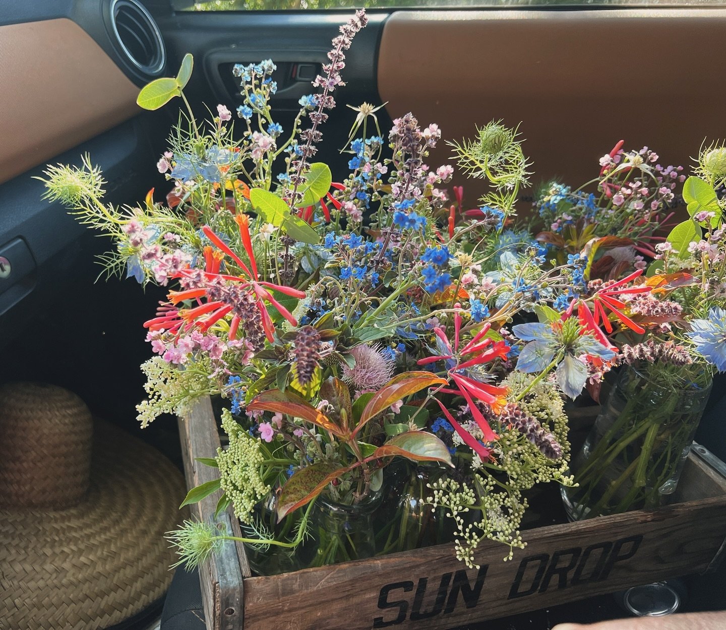 Tiny order for high tops for Ringling Museum. Coral honeysuckle is one of my all time fav native plants in an arrangement.