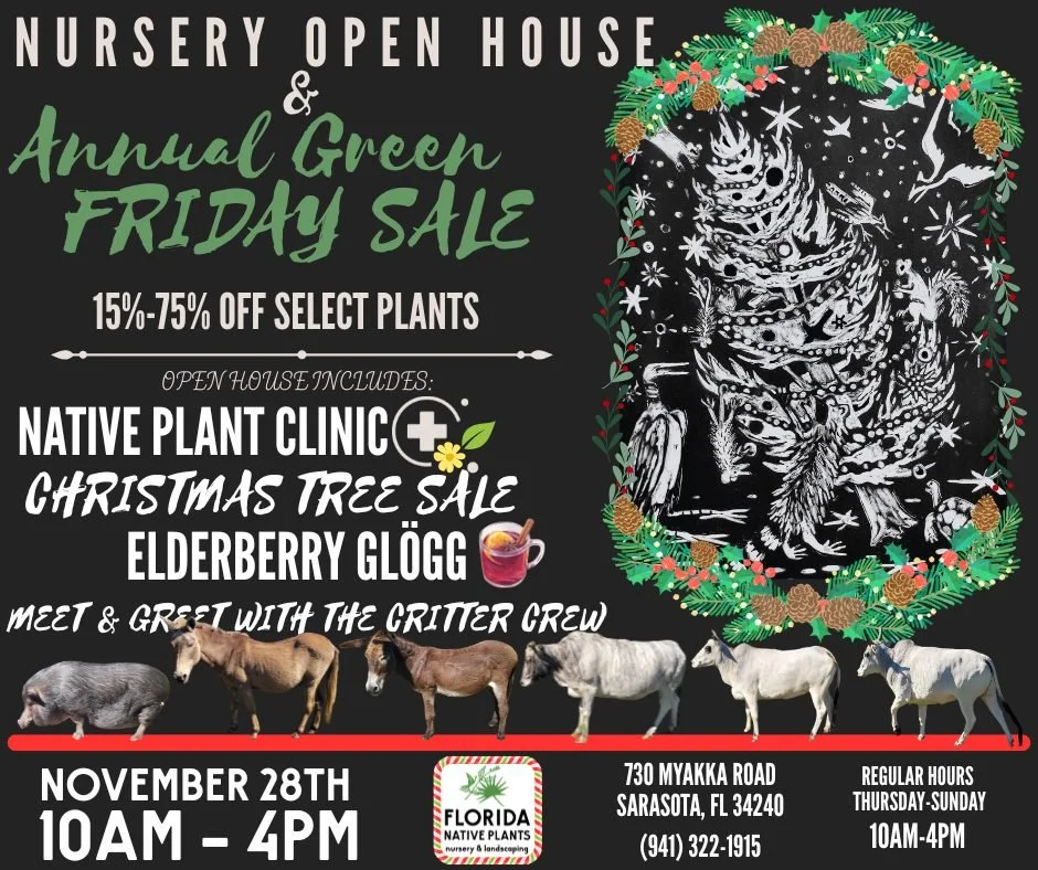 🌿 GREEN FRIDAY at Florida Native Plants! 🌿

Join us November 28th, 10am-4pm for our biggest event of the year!

✨ NEW: Native Plant Clinic: bring your photos &amp; questions for expert advice
🌱 End-of-year plant sale with amazing deals
🚜 Tour our