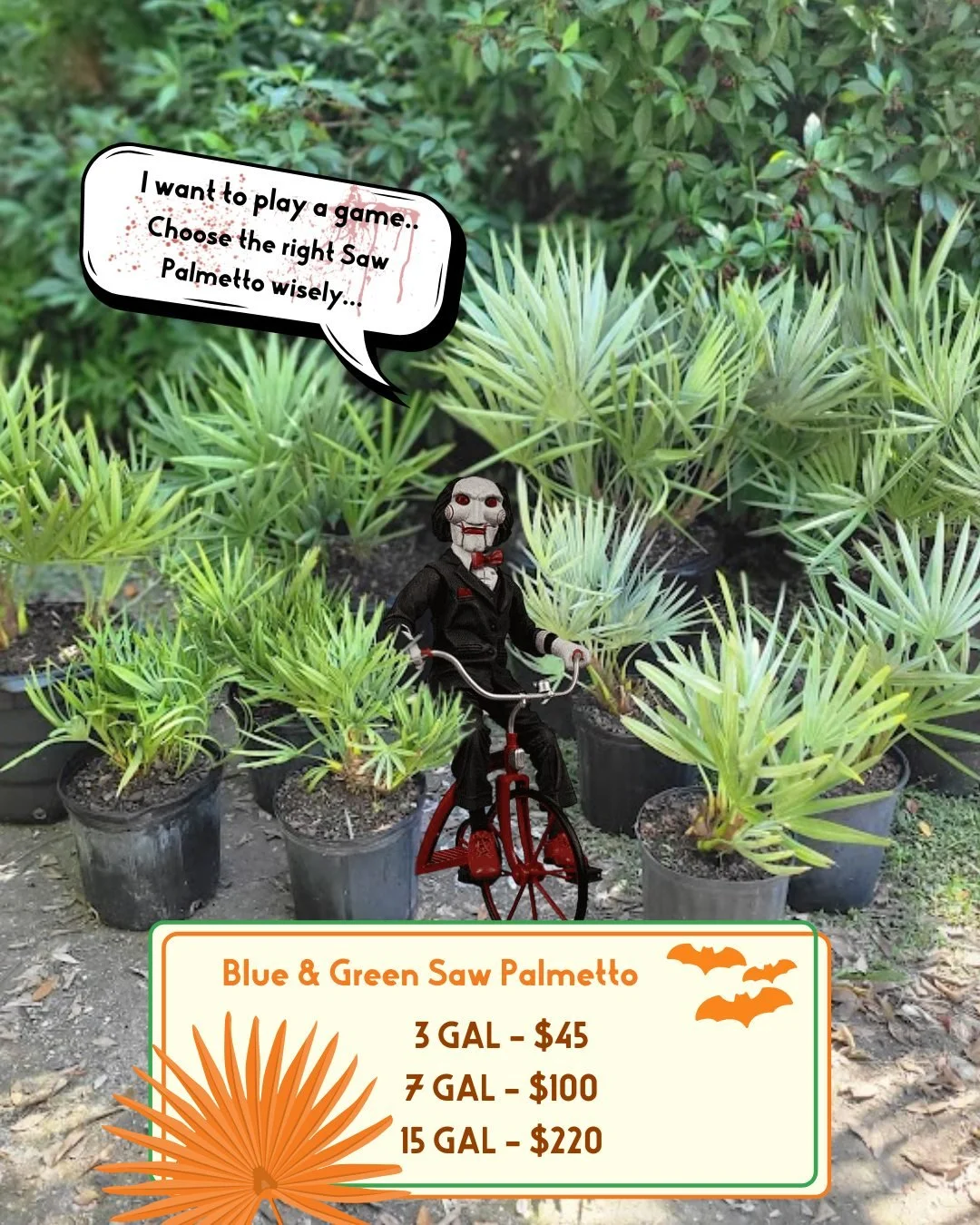 🎭 "I want to play a game..." 🎭
You wake up to your barren, sun-scorched landscape. The drought has been merciless. Your existing plants are struggling. Time is running out. ⏰
But there's a choice before you...
THE GREEN SAW PALMETTO (Sere