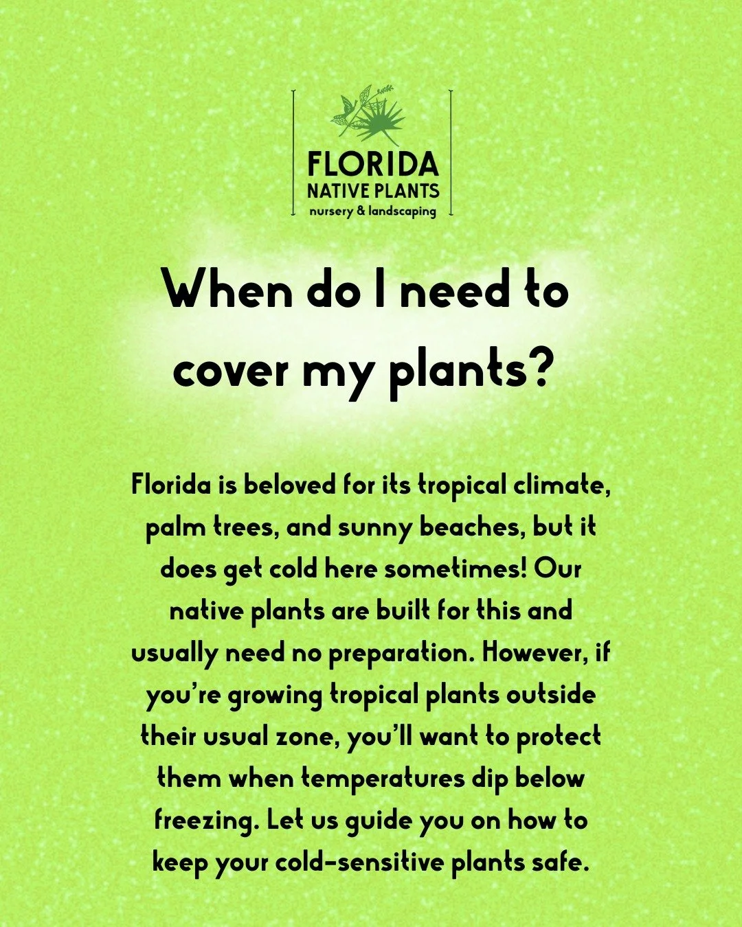 Cold snap headed our way? Don't panic. ❄️

Let's talk about protecting your plants.

First things first, most Florida natives don't need covering. They're built for our climate and can handle the cold just fine. But if you've got tropical plants push