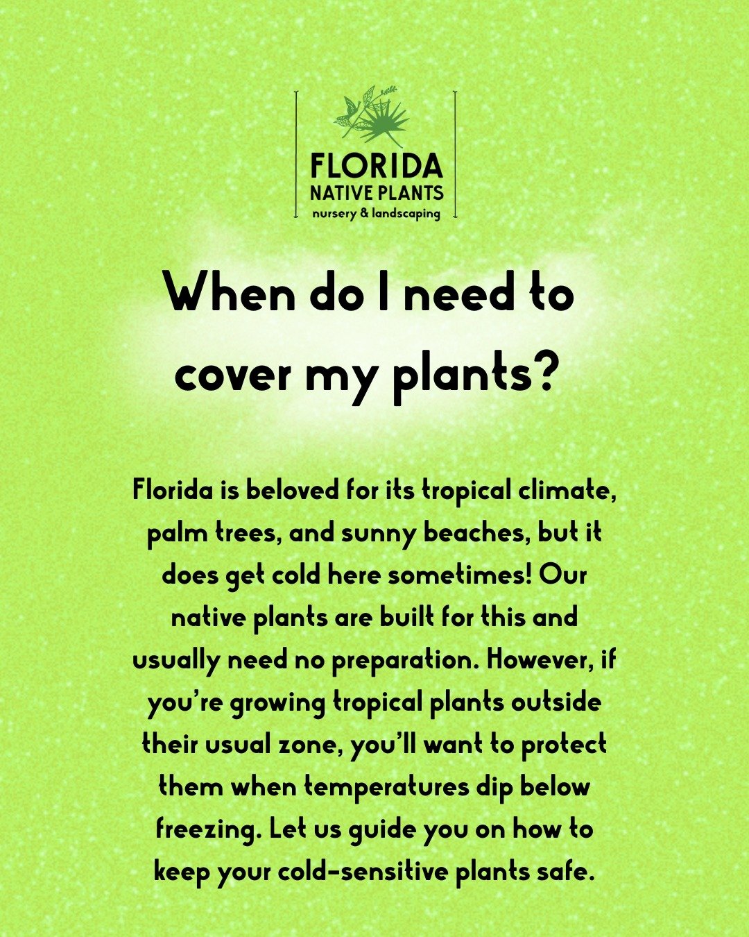 Cold snap headed our way? Don't panic. ❄️

Let's talk about protecting your plants.

First things first, most Florida natives don't need covering. They're built for our climate and can handle the cold just fine. But if you've got tropical plants push