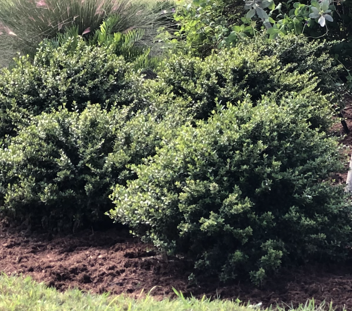 Screenshot 2026-03-16 at 12.51.50 PM.png